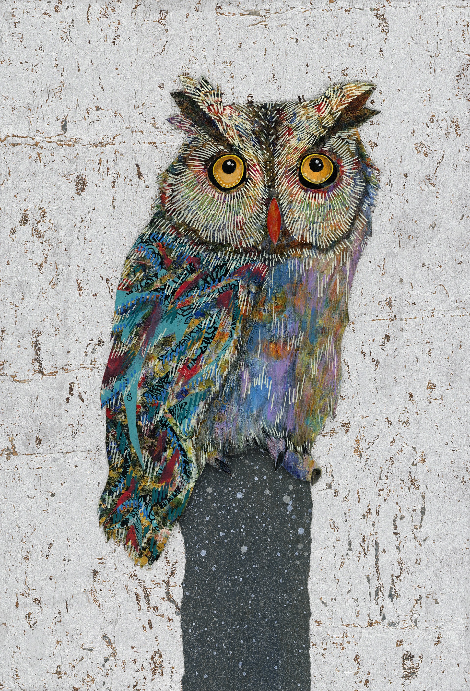 Screech Owl 9 by Brenda Bogart - Prints