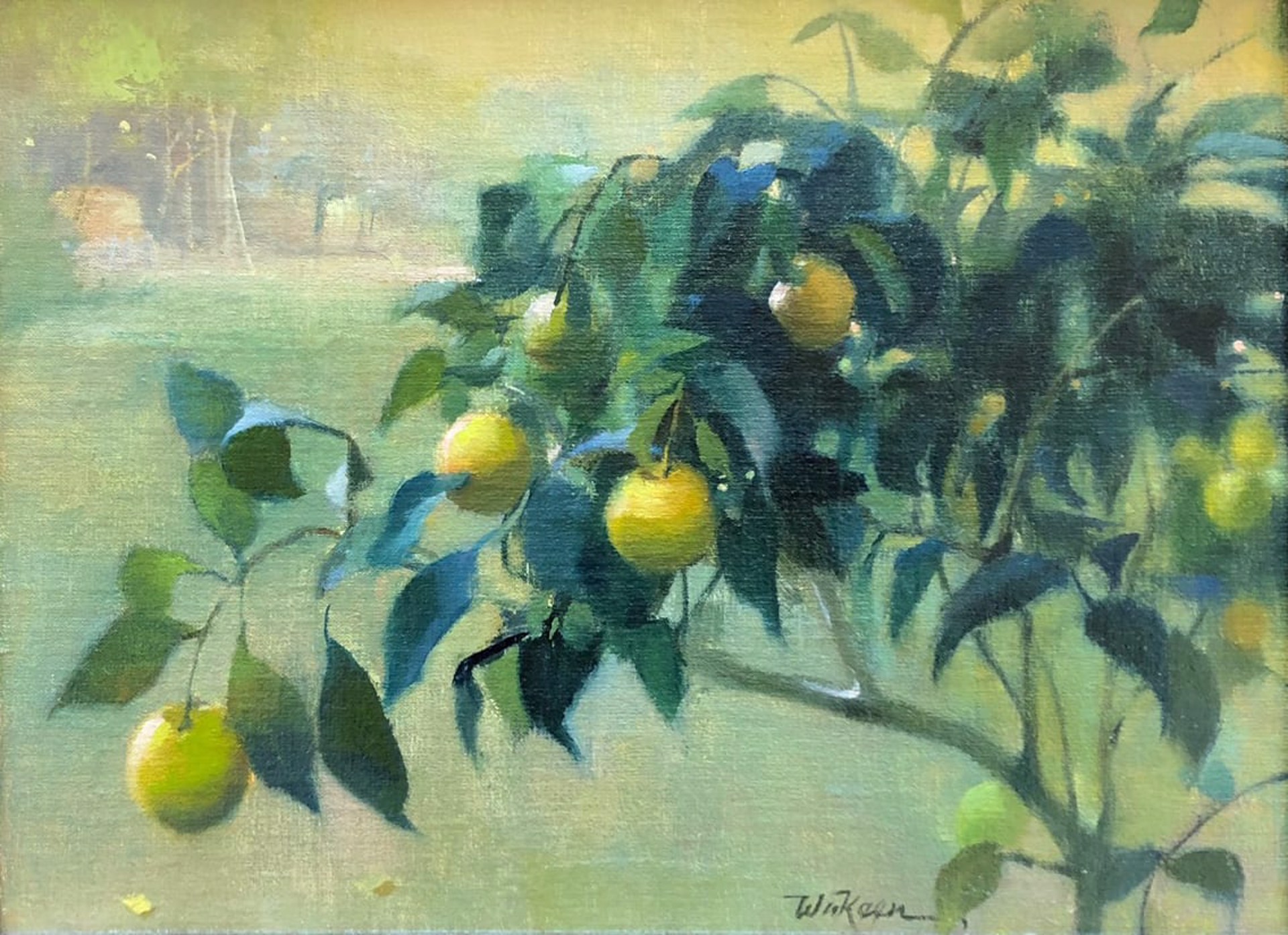 Lemon Tree at Dusk by Sandra Wakeen