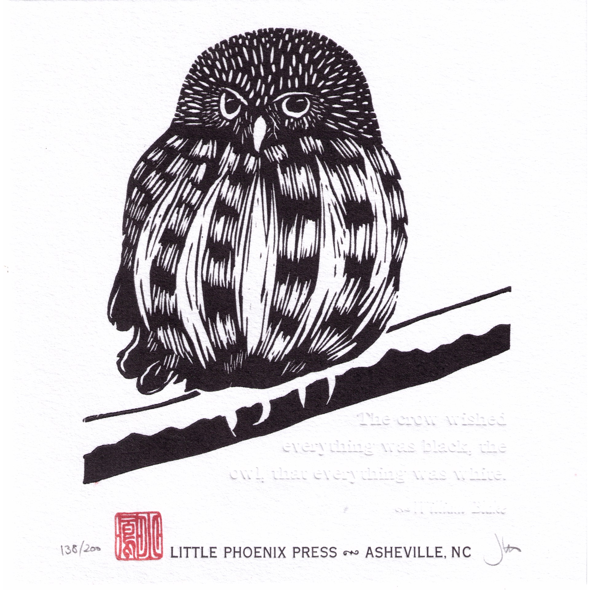 Black Owl by Jessica White