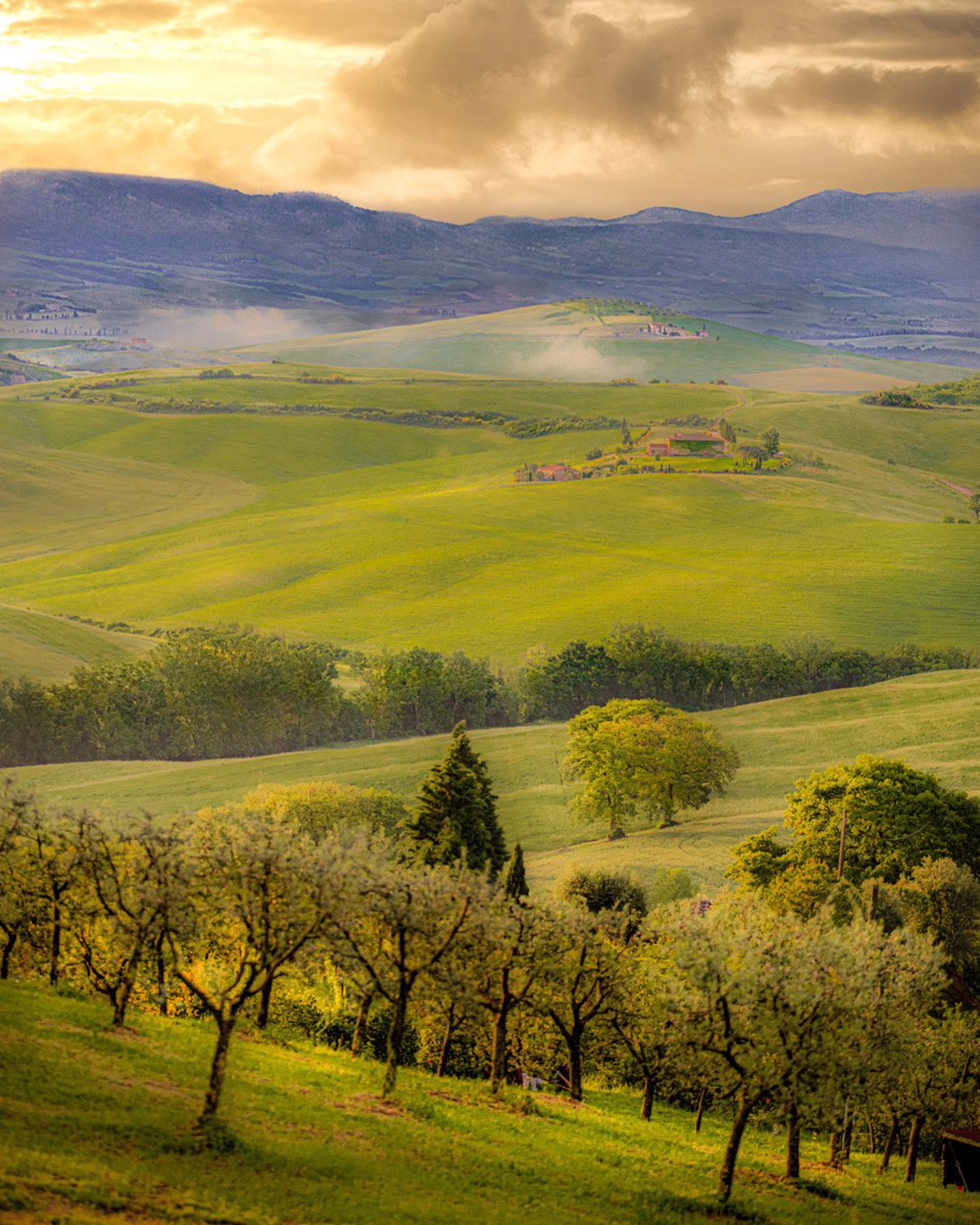 Early Morning Light, Tuscany by Tim Truby