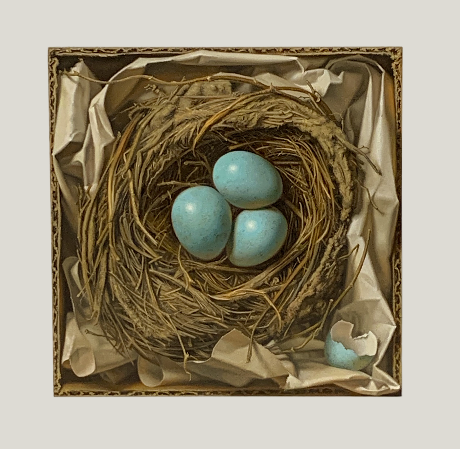 Nest by Natalie Featherston
