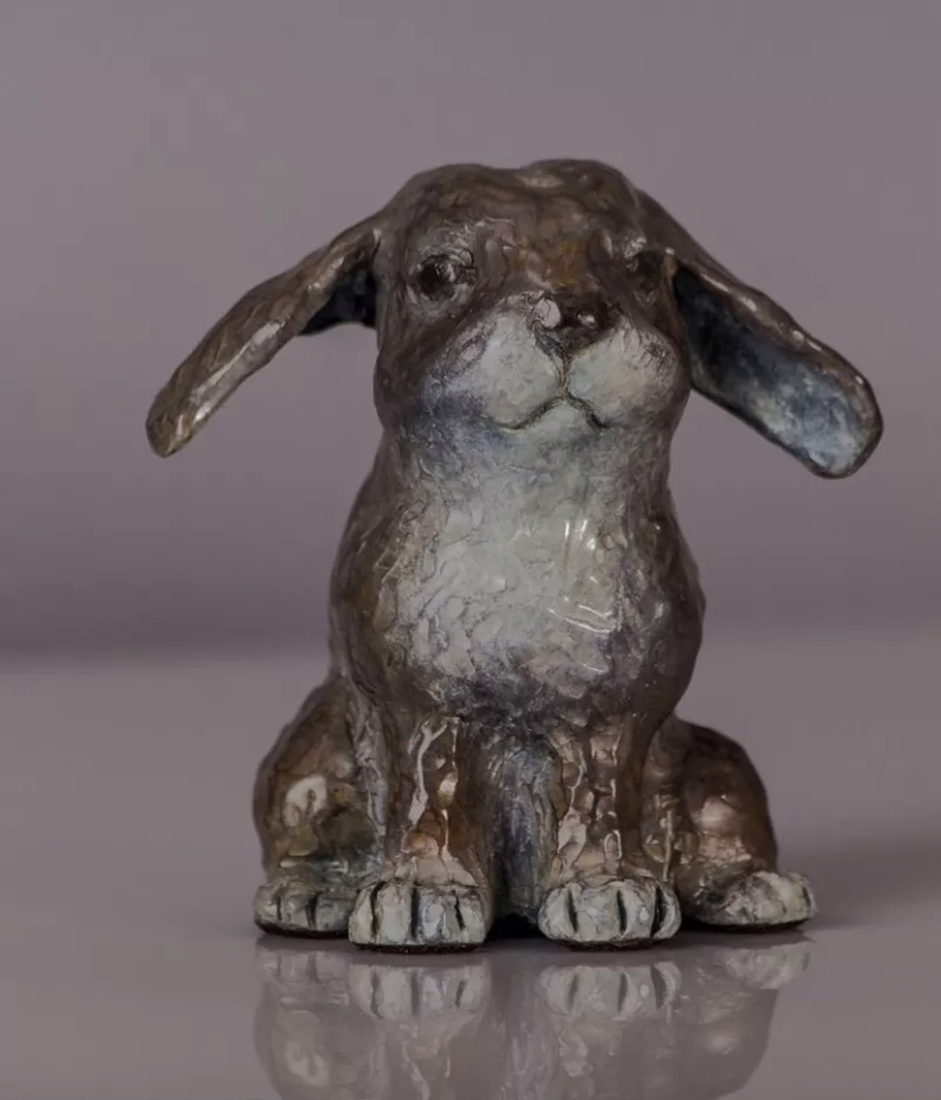 Flopsy, Lop Eared Bunny by Barbara Duzan