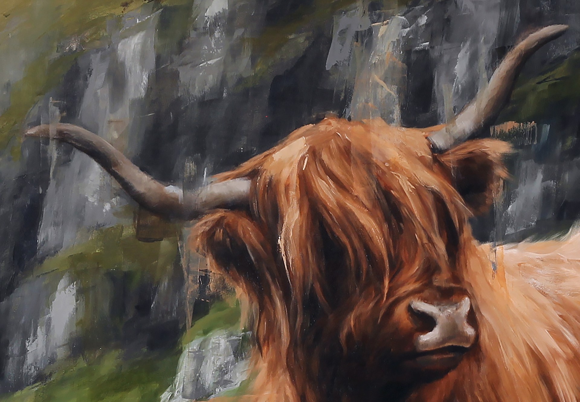 Highland Cow by Morgan Cameron