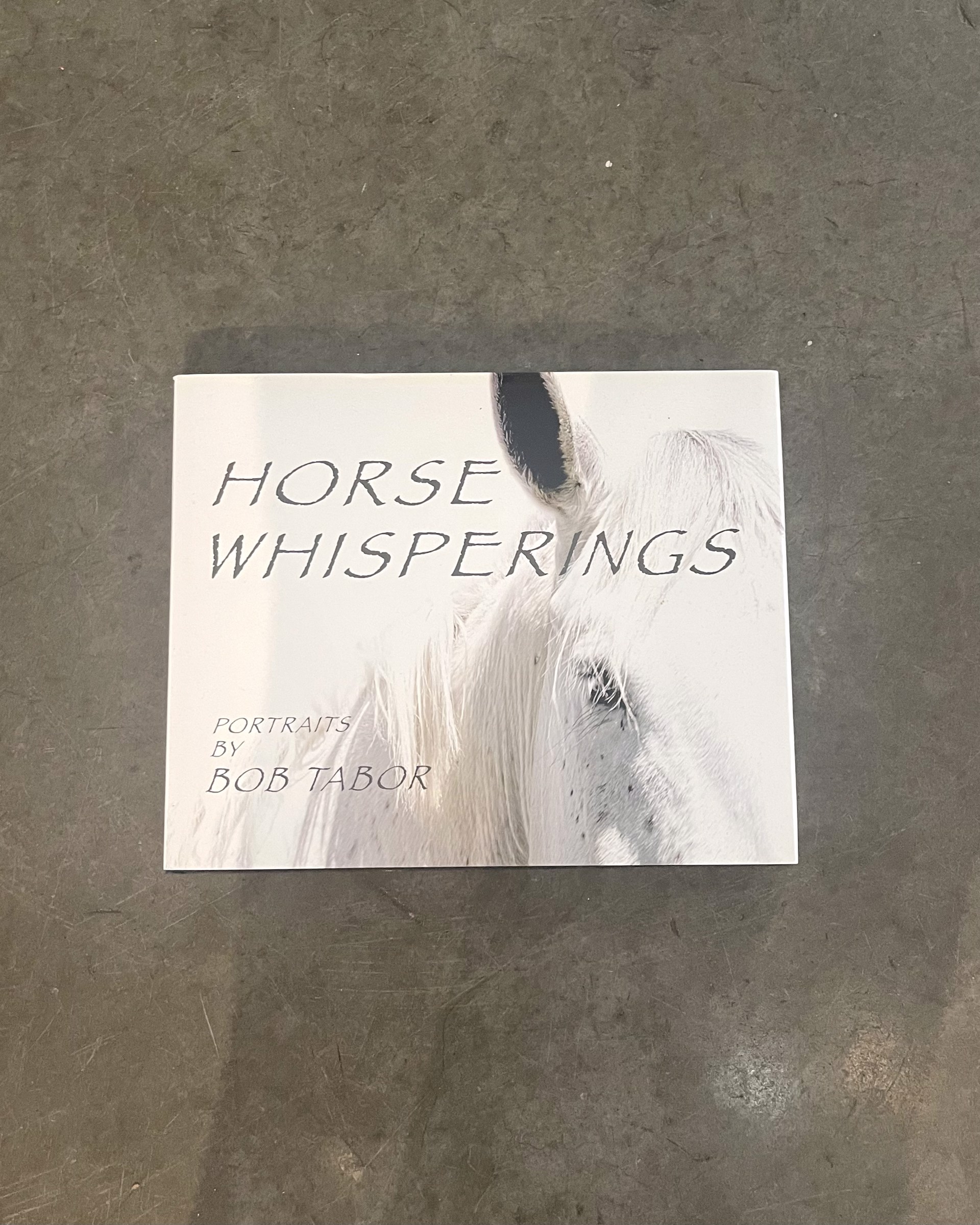 Horse Whisperings by Bob Tabor