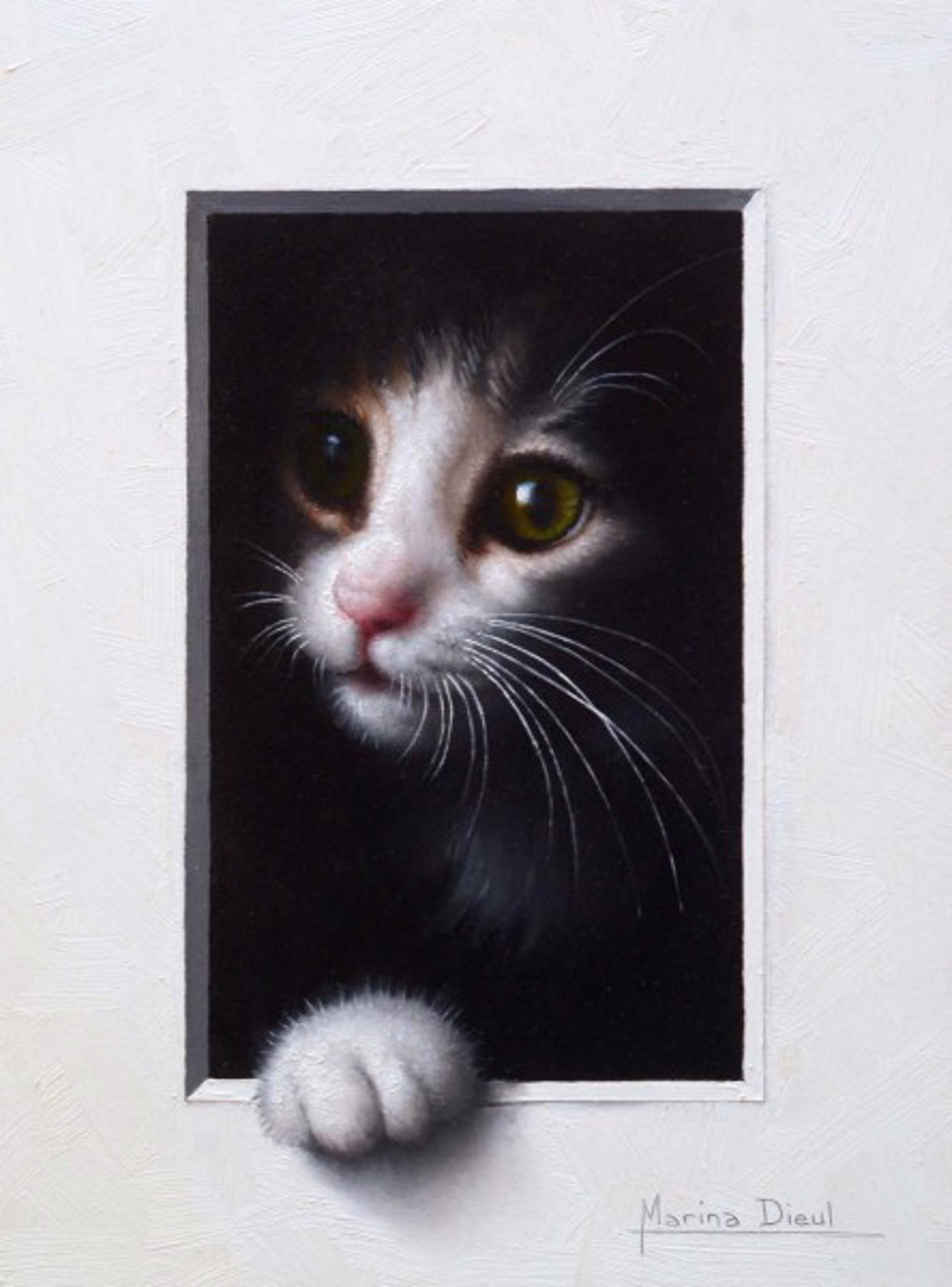 Chat 33 by Marina Dieul