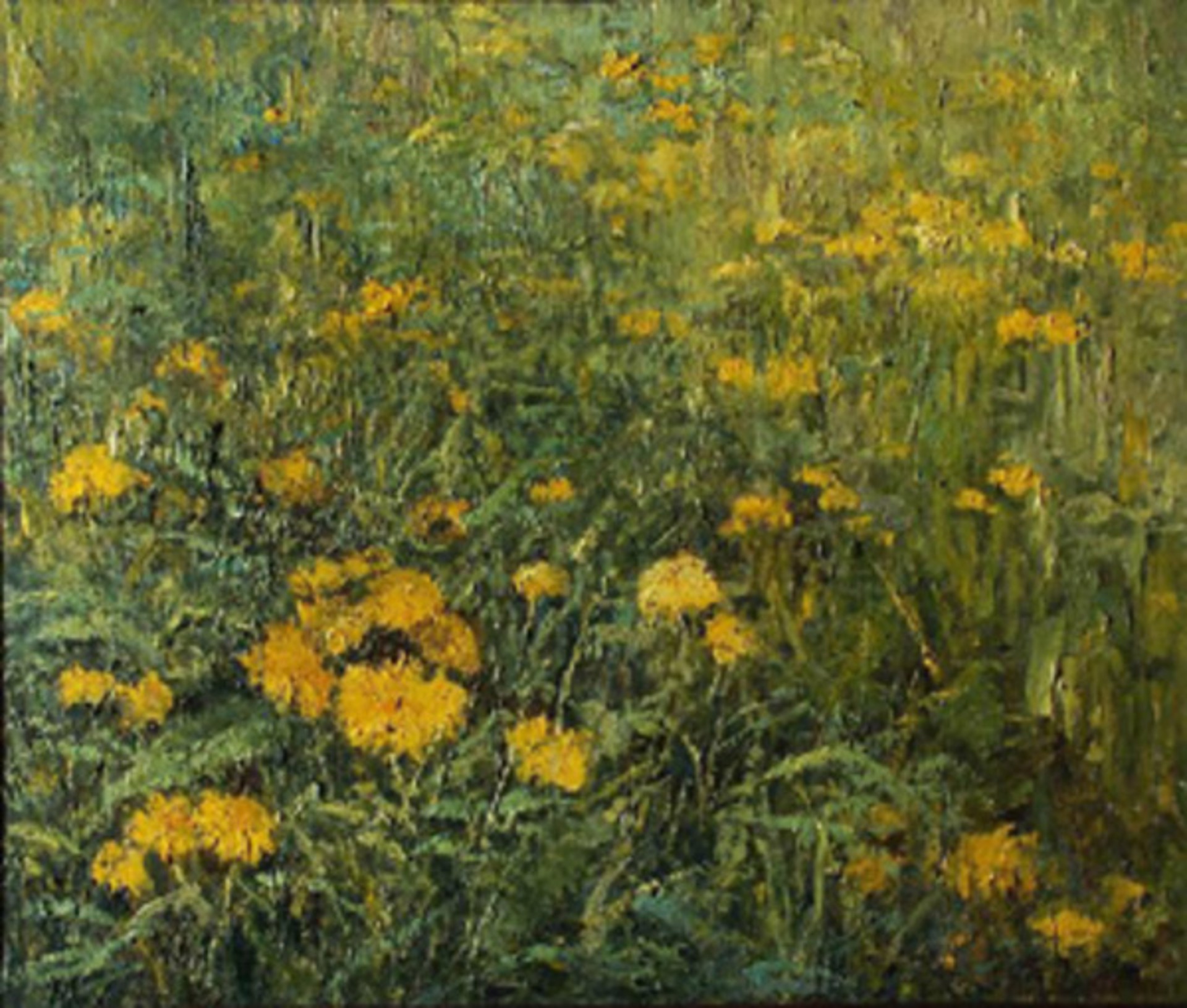 Dandelions by Viktor Dovbenko