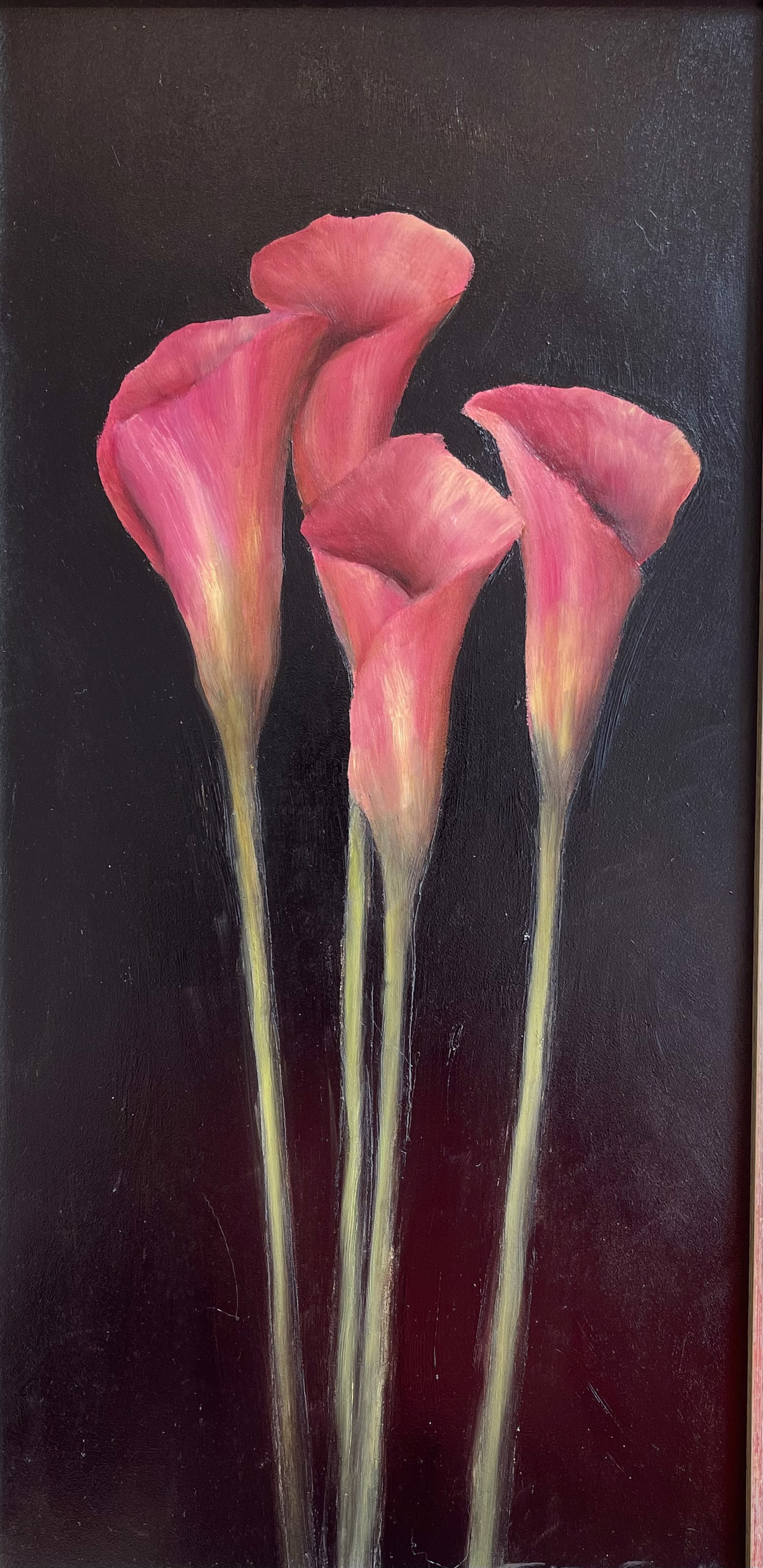 Calla Lilies by Gregory Smith