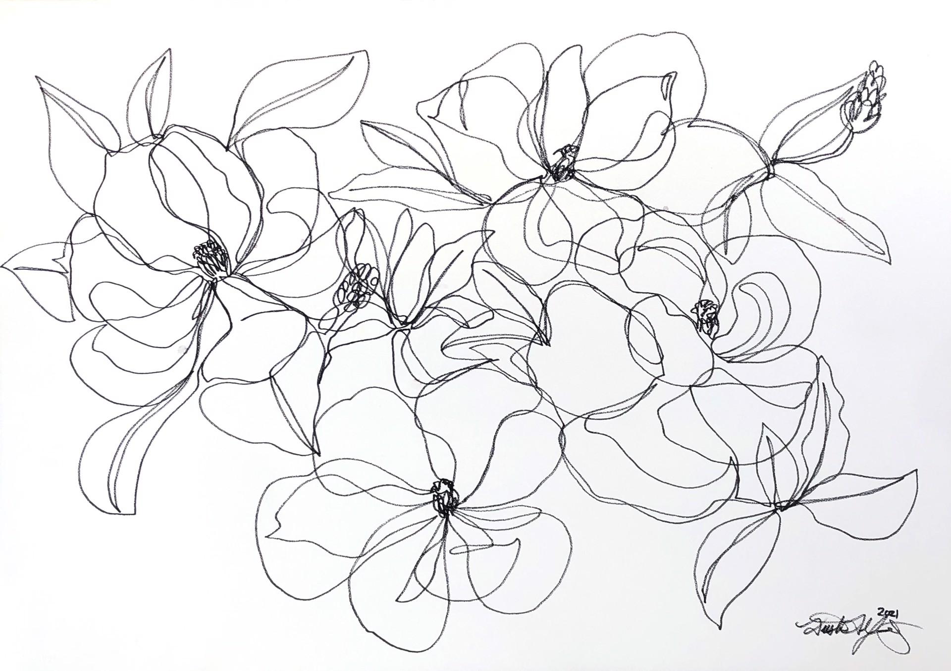 Floral in Lines II by Dustin Young