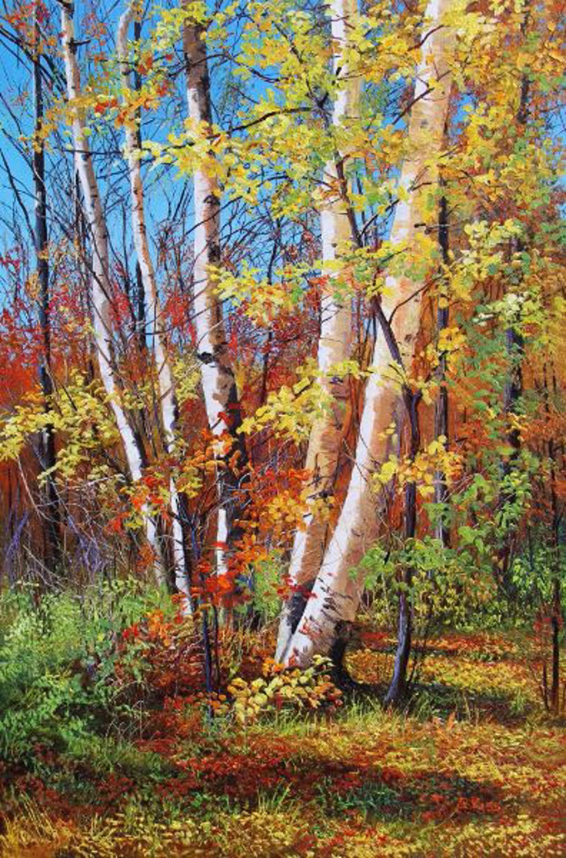 Birch by ANDREW KISS
