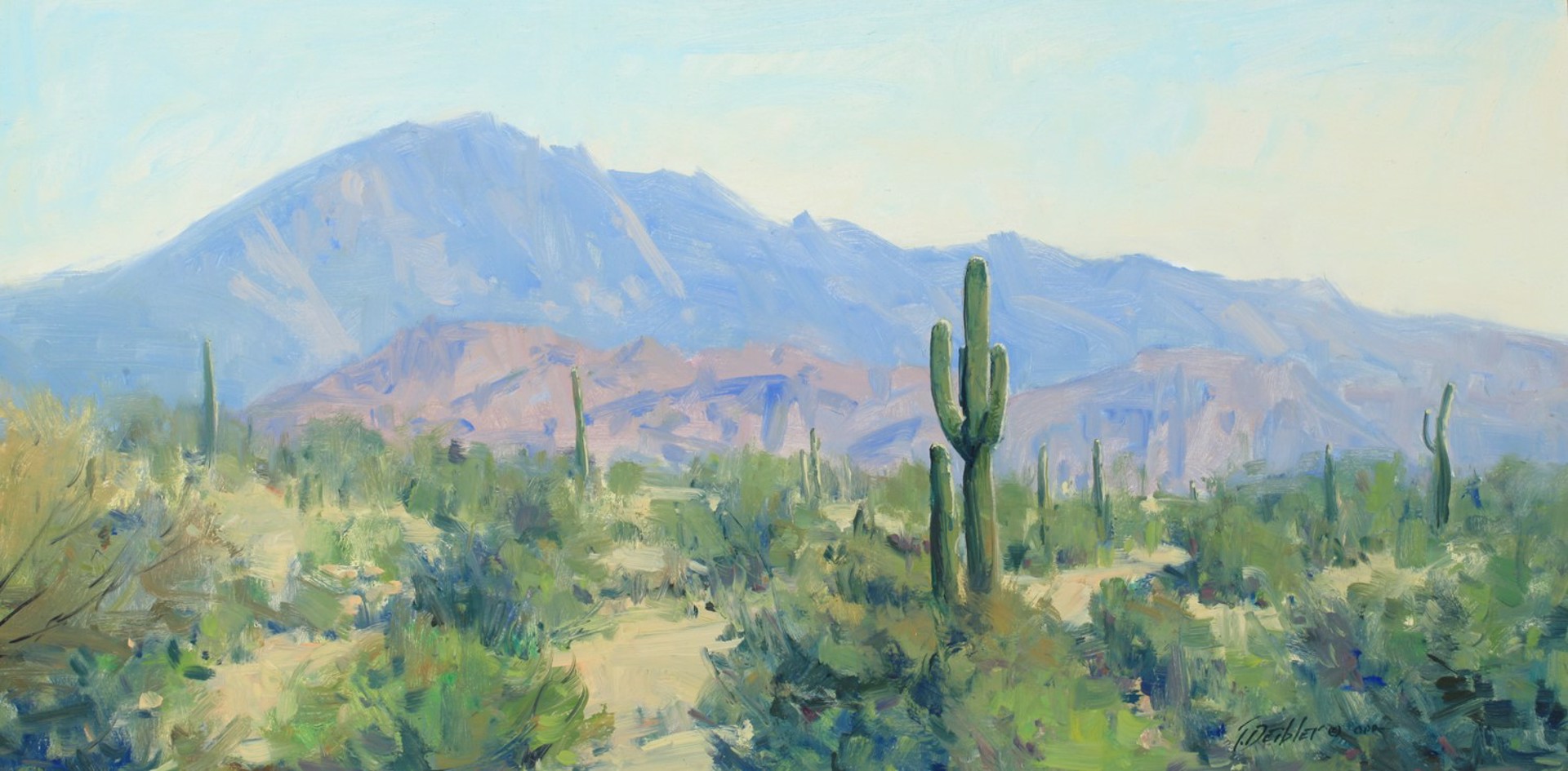 Desert Vista by Tim Deibler