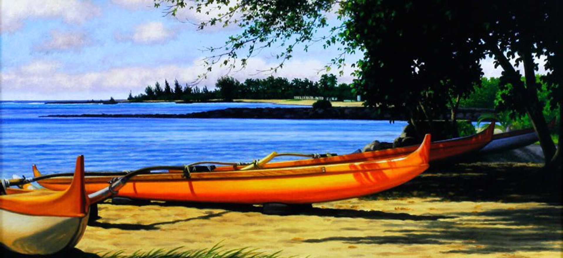 Canoes by Gary Reed