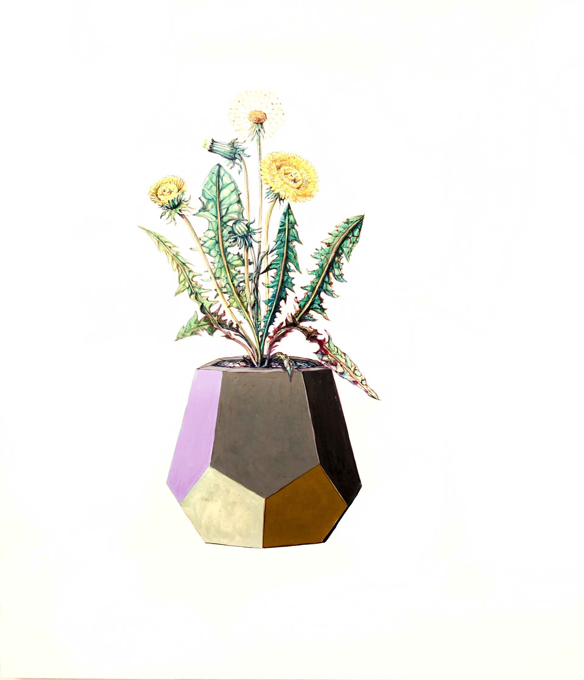 Dandelion Vase by Todd Ryan White