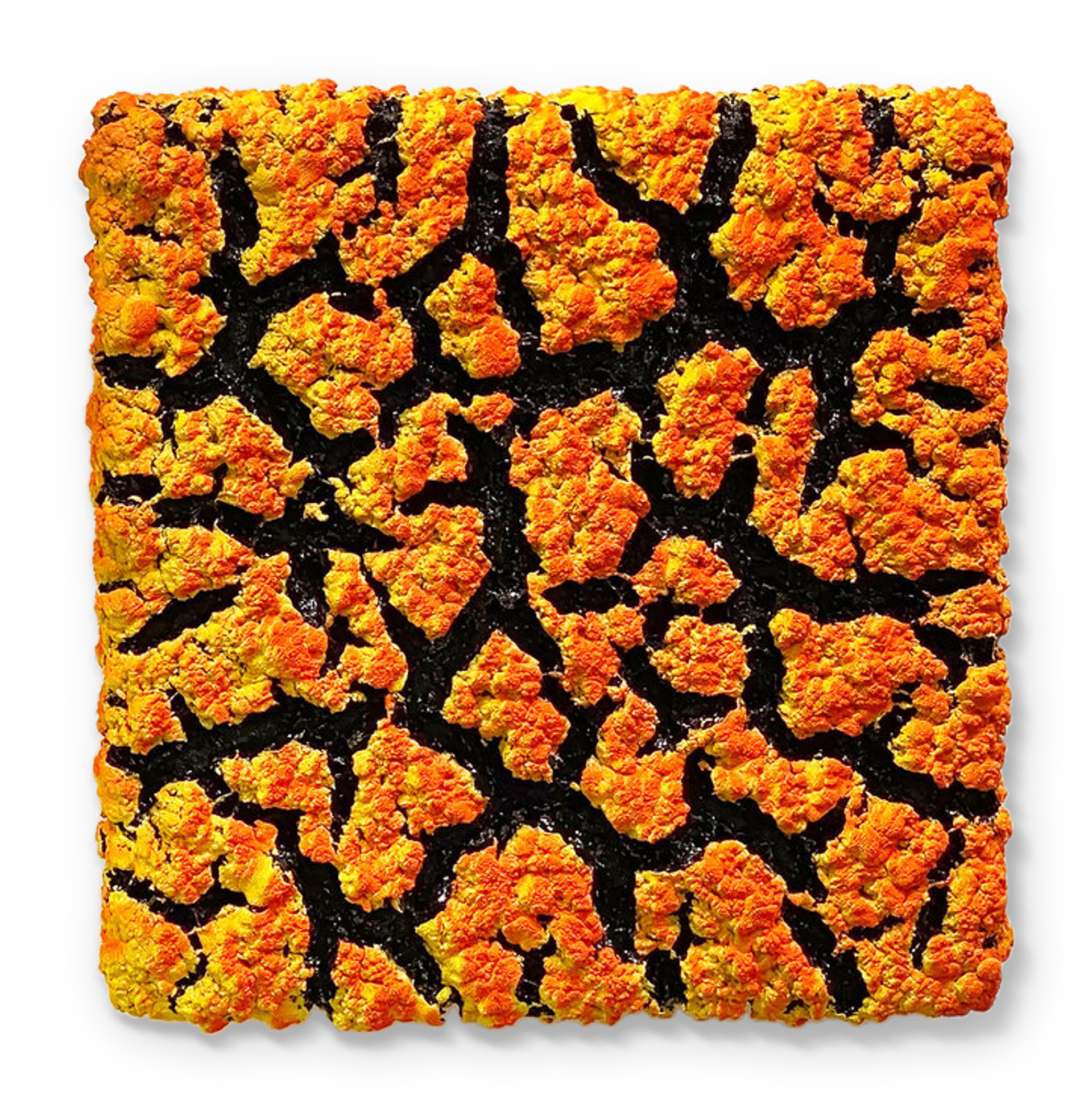 Yellow & Orange Lichen Wall Piece (Other colors can be ordered) by Randy O'Brien