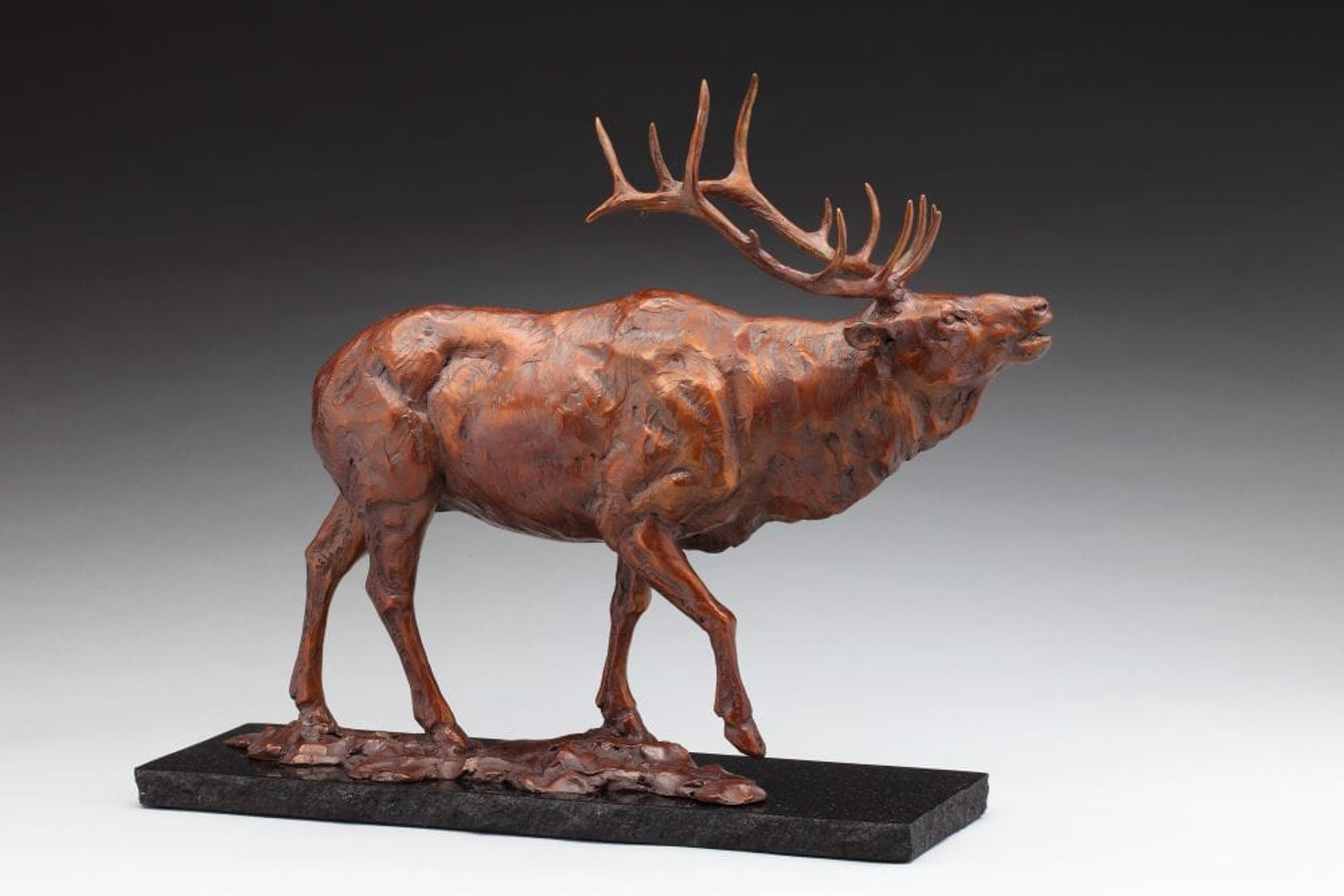 About to Get Serious Elk by Daniel Glanz (sculptor)