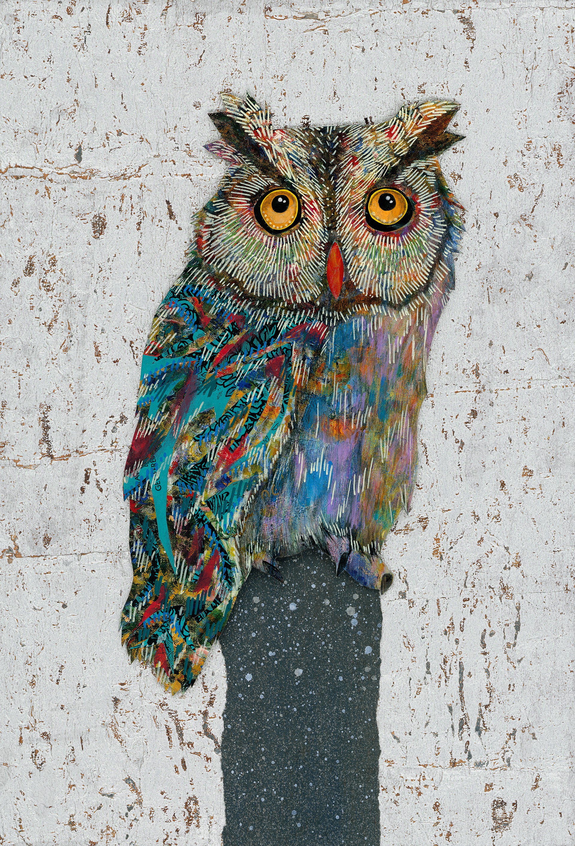Screech Owl IX by Brenda Bogart