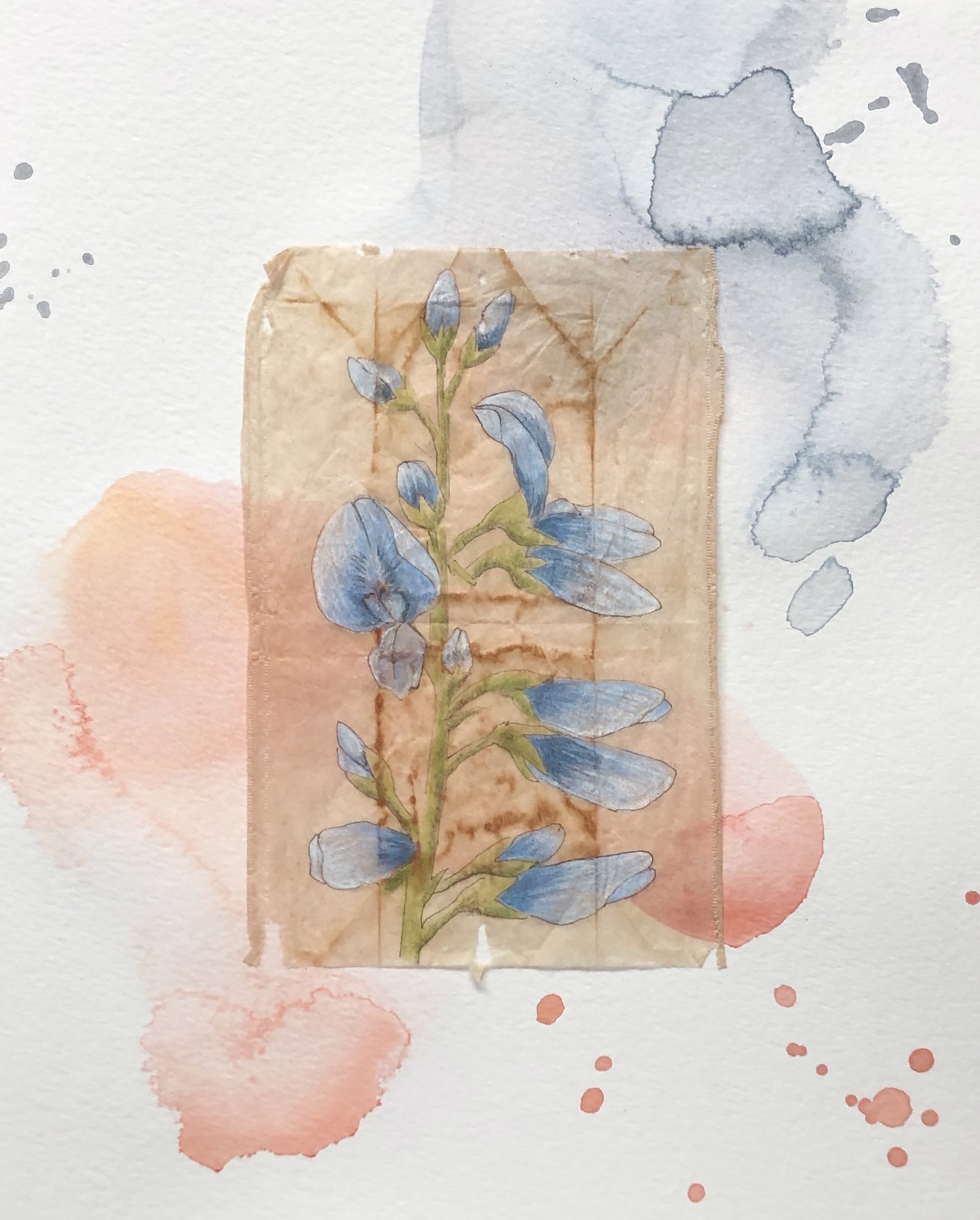 Blue Wild Flowers by Shannon Deana Johnson