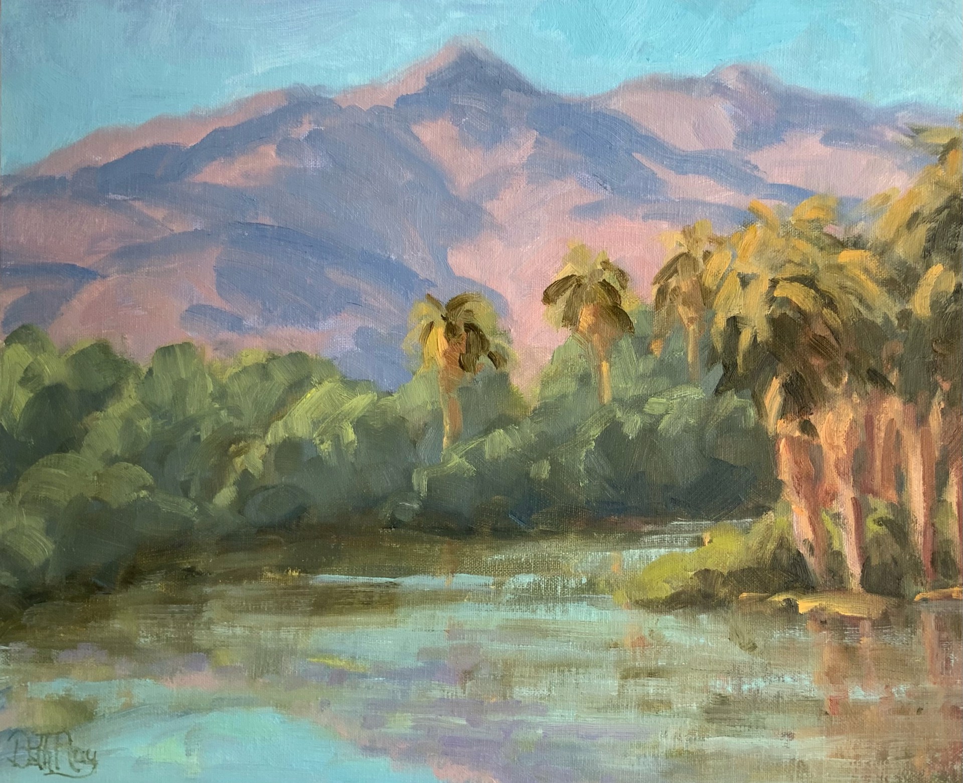 Agua Caliente by Beth Ray