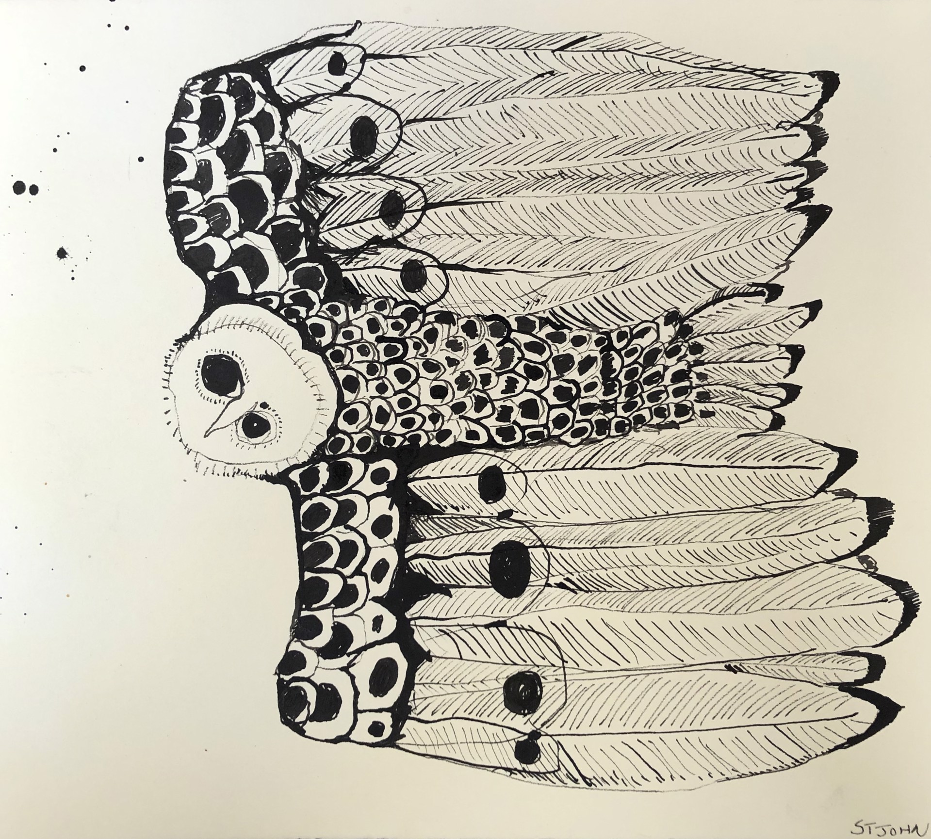 Owl by Christopher St. John