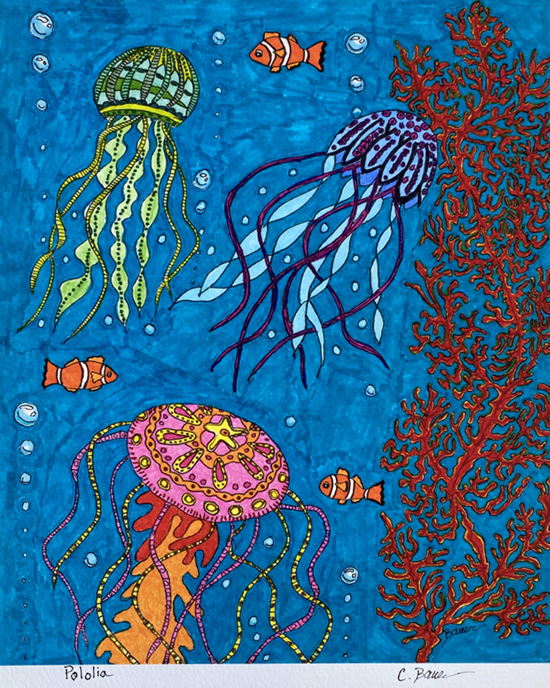 Jelly Fishes by Carolyn Morgan Bauer