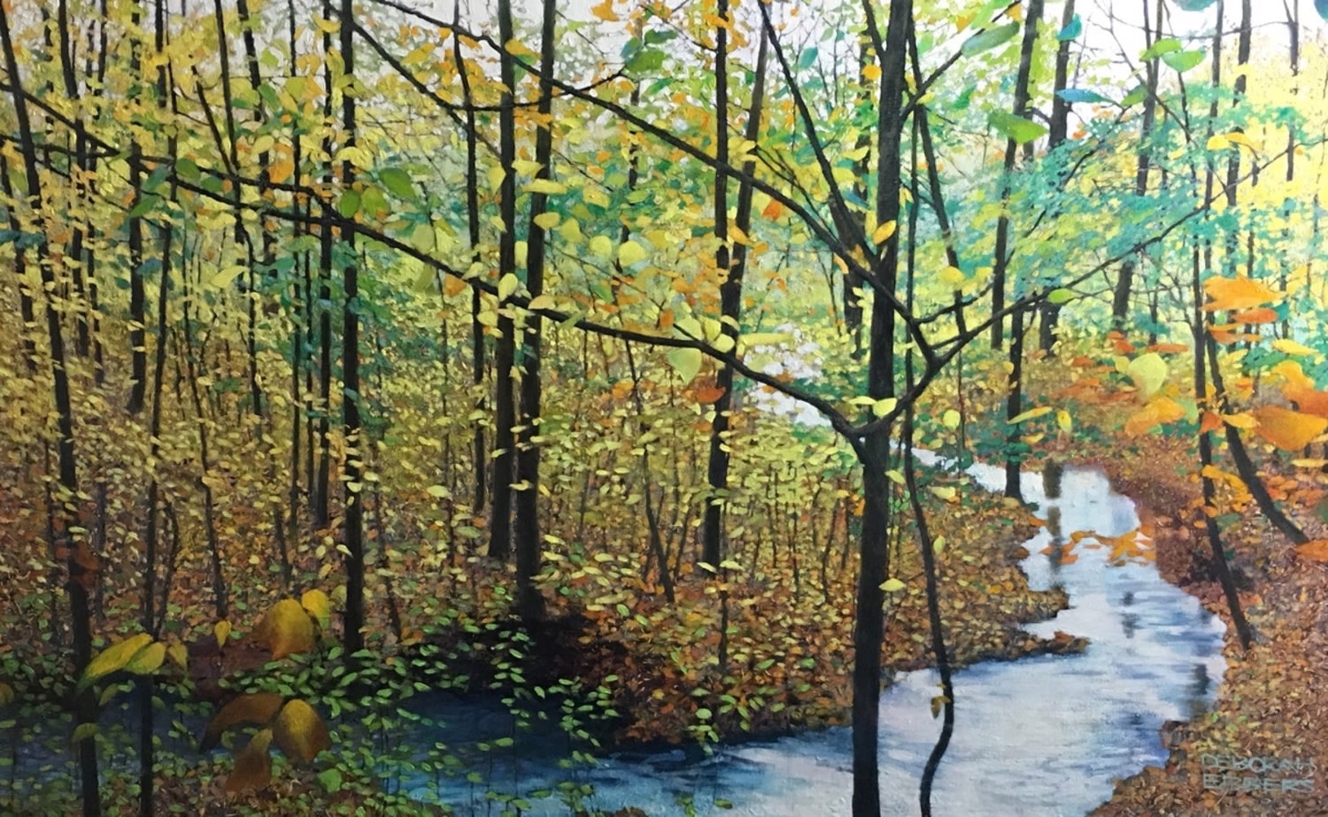 Little Creek by Deborah Ebbers