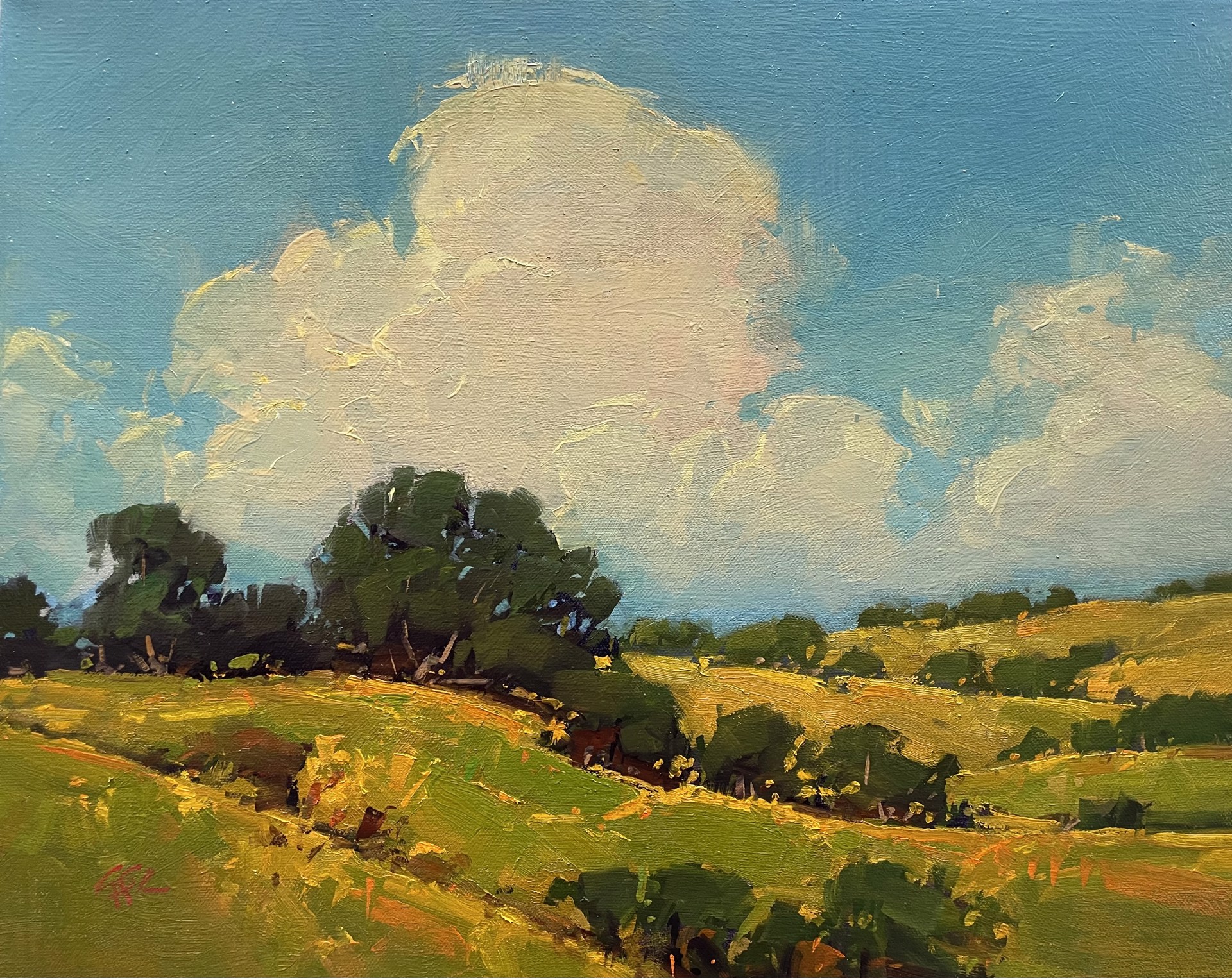 Oak Cloudscape by Gregory Stocks
