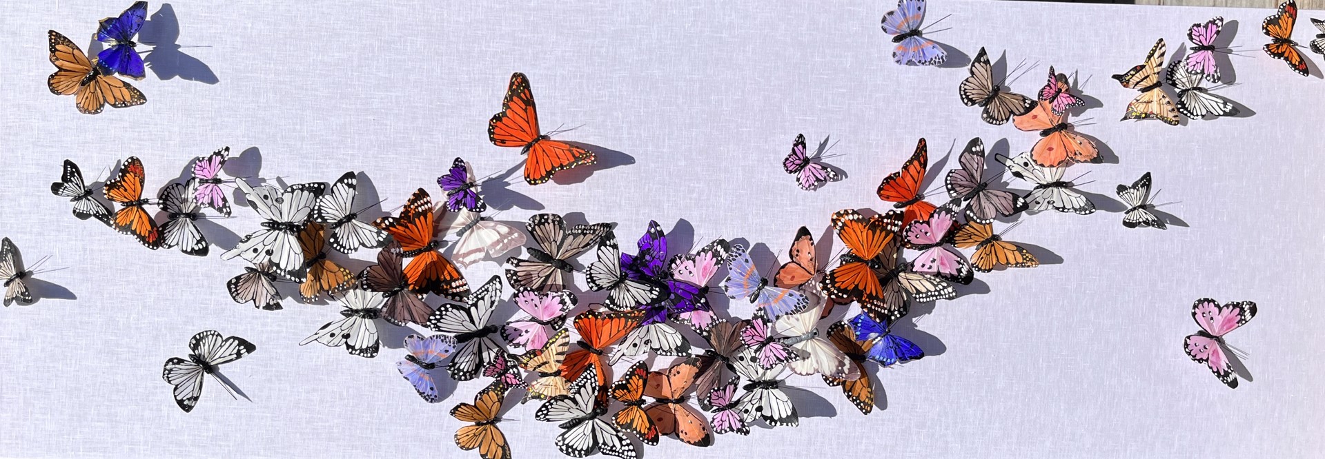 Summer Flutter by Juan Carlos Collada