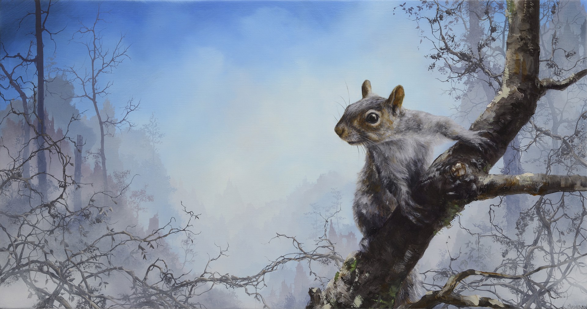 Eastern Grey Squirrel by Brian Mashburn