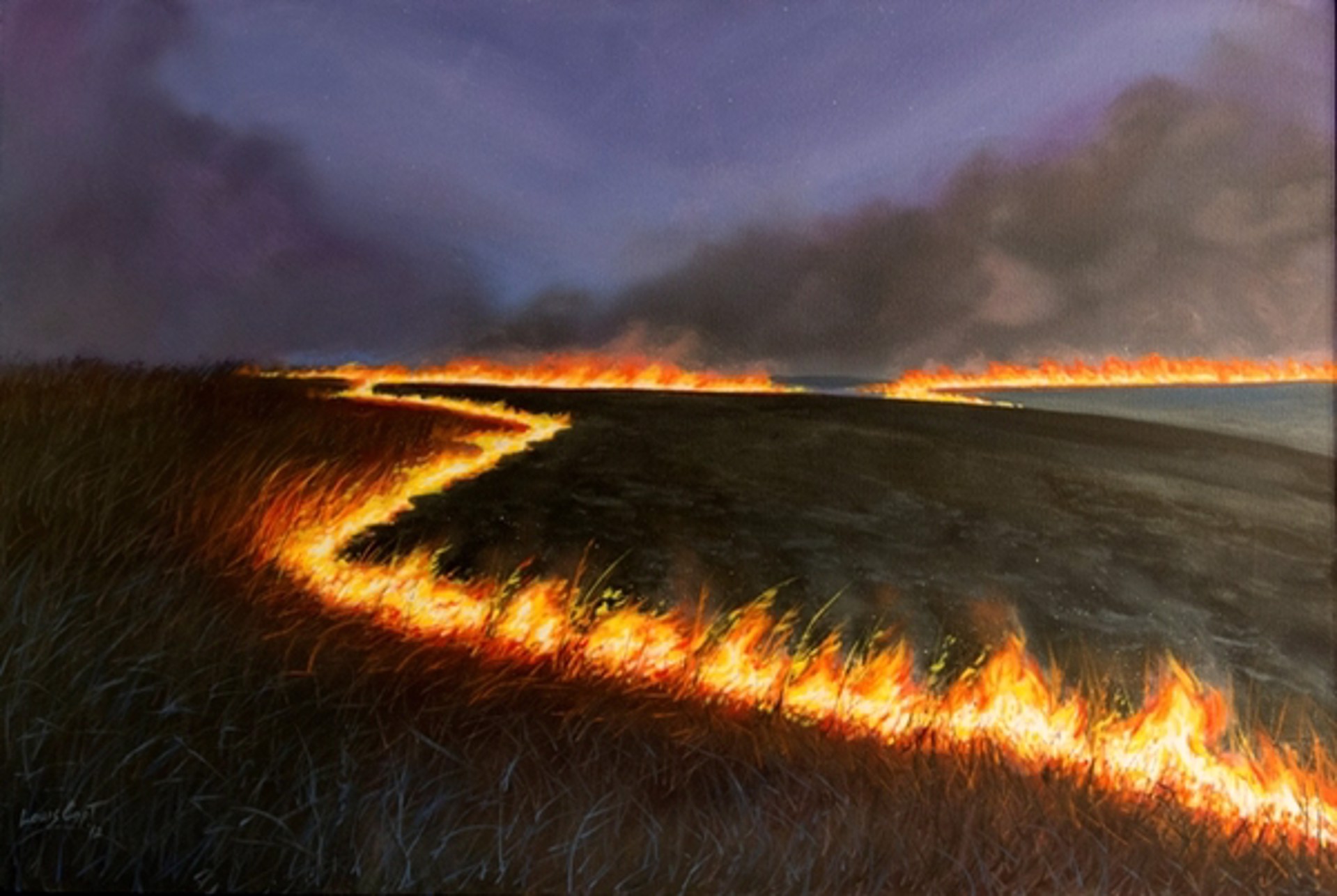 Field of Flames by Louis Copt