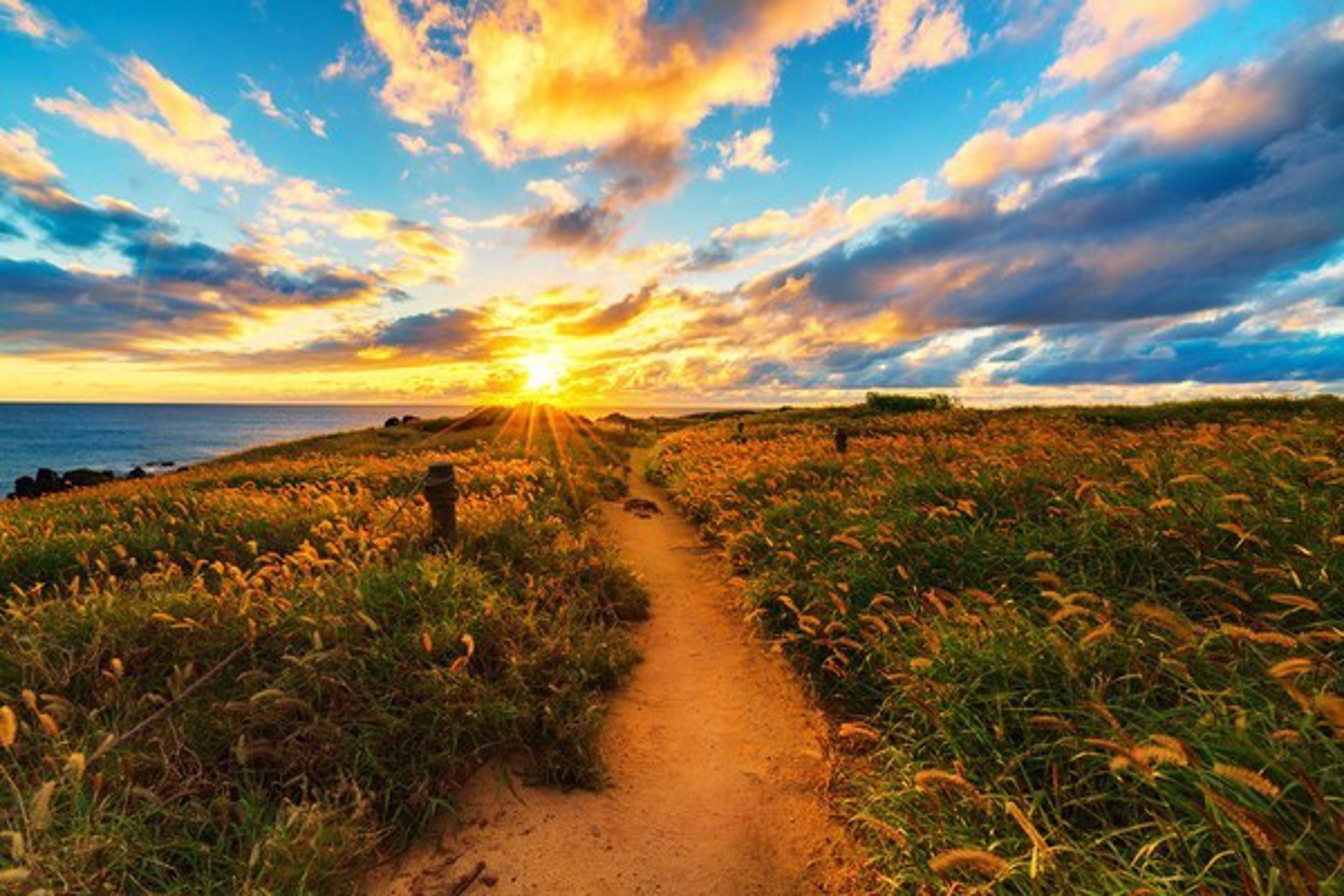 Kaena Point Path by Brian Wyland