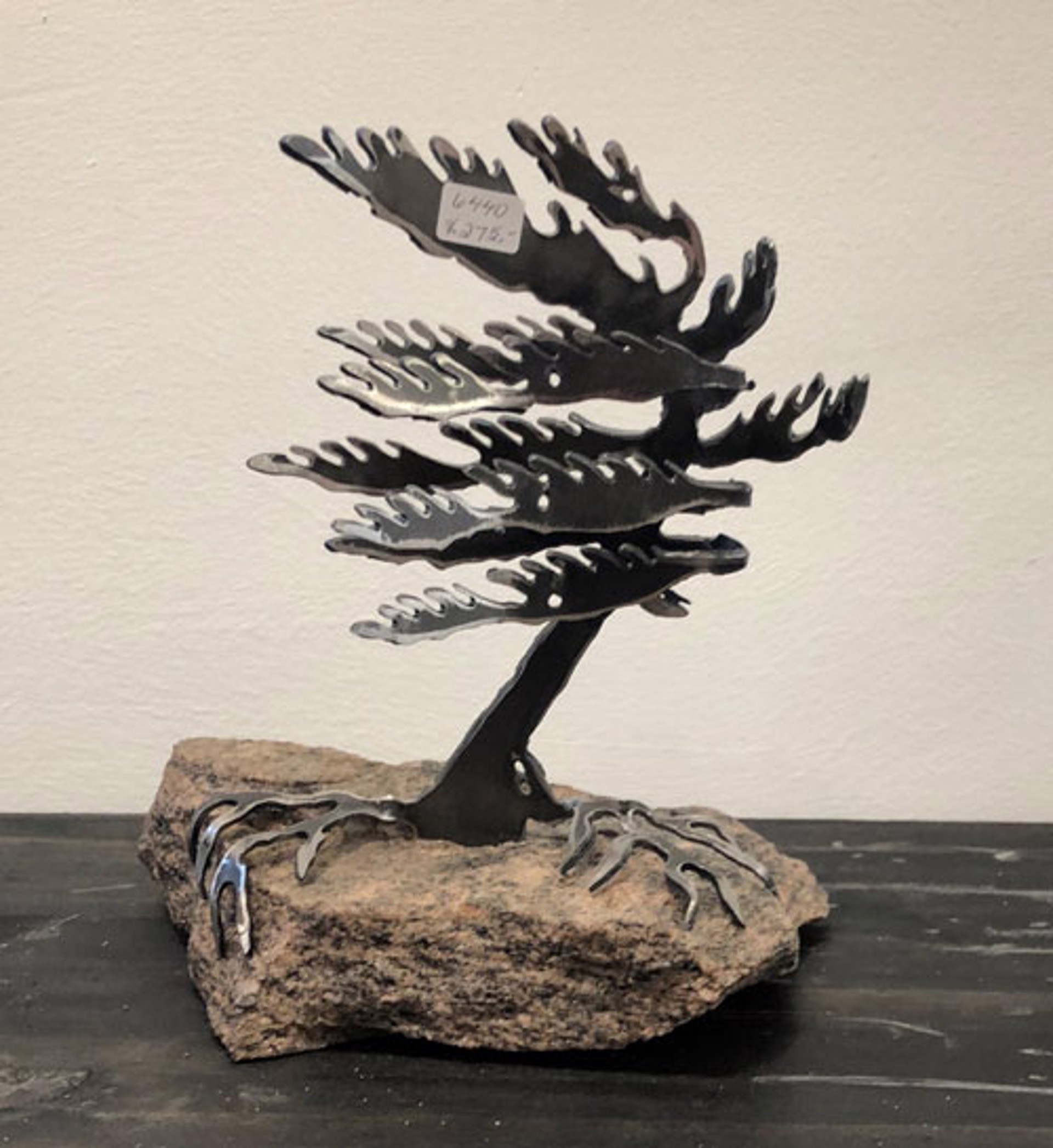 Windswept Pine - 6440 by Cathy Mark