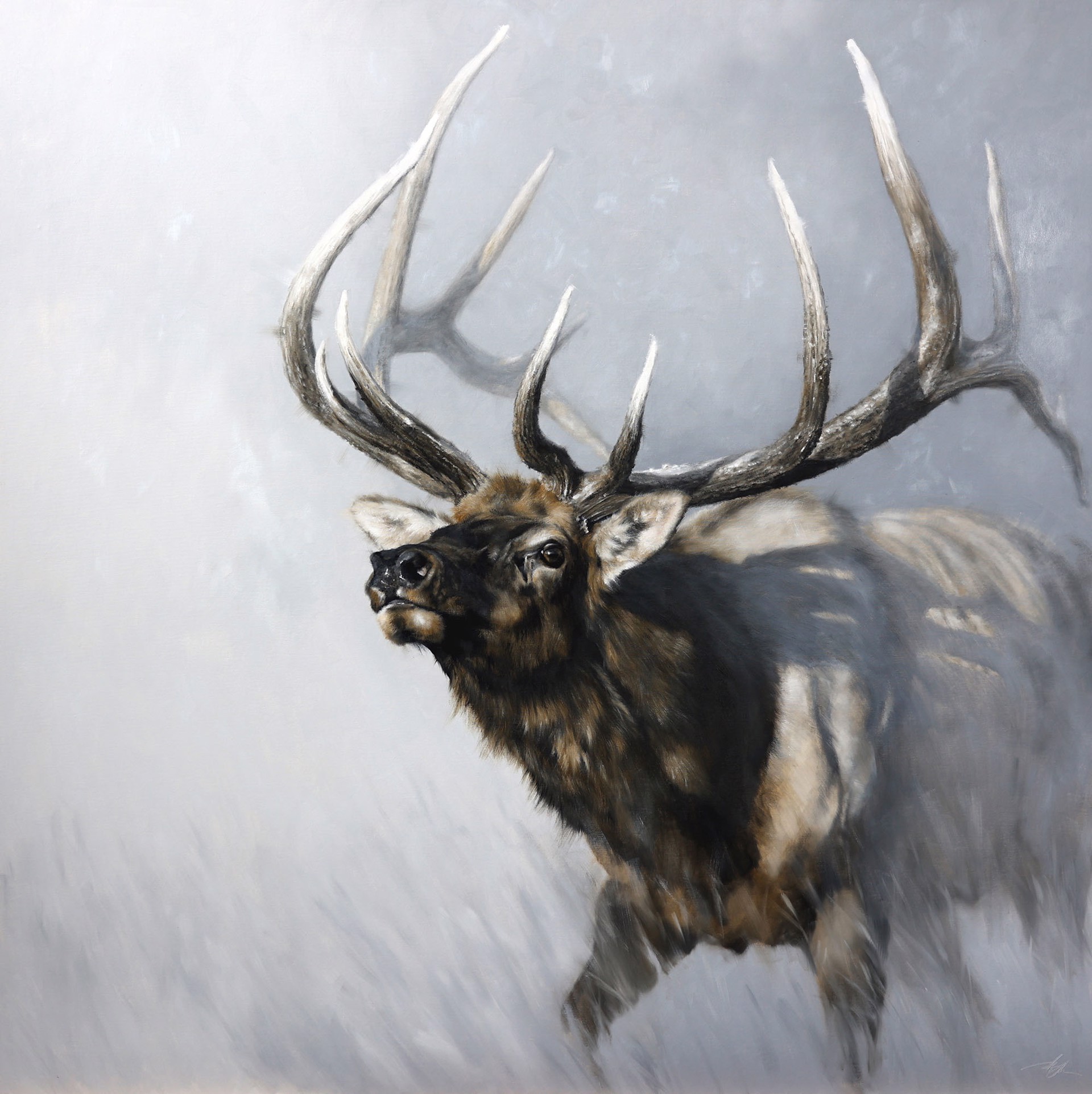 Original Oil Painting By Doyle Hostetler Featuring A Bull Elk In Rut