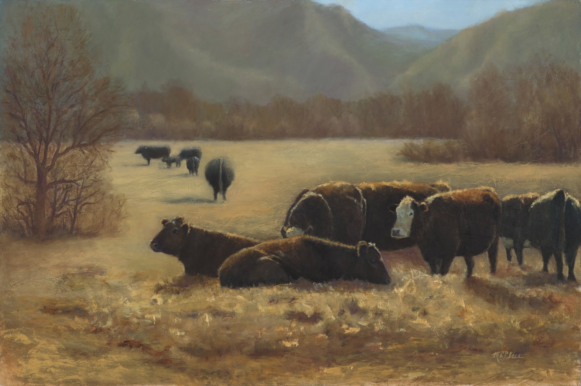 The Shape of Cows [Print-Large] by Marilyn Place | Red House Gallery ...
