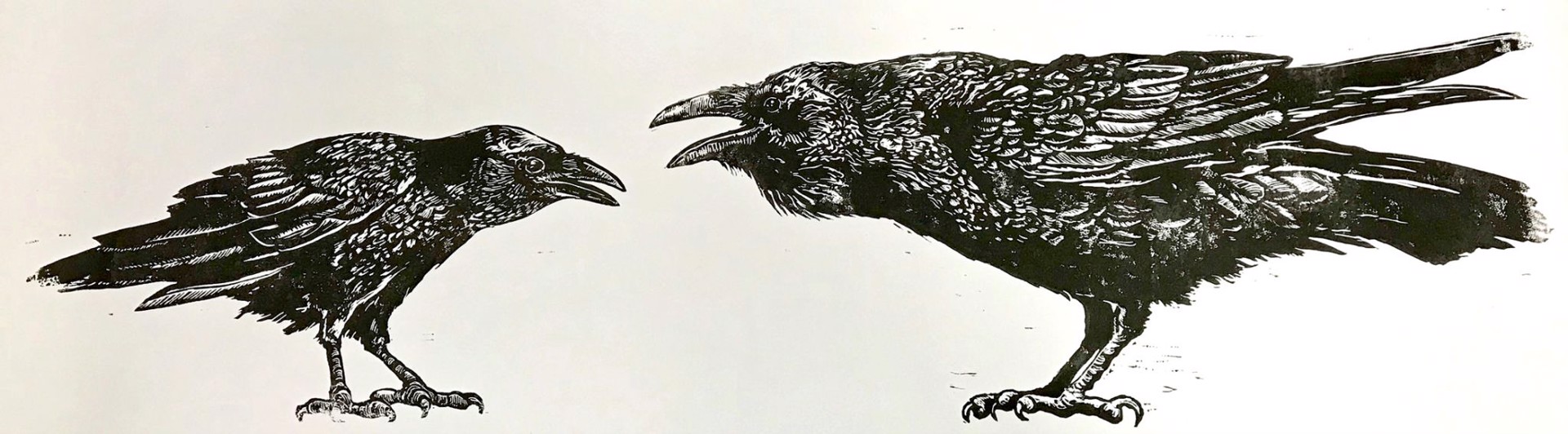 The Crow and the Raven - Don't Try to Be Something You Are Not by Larry Vienneau