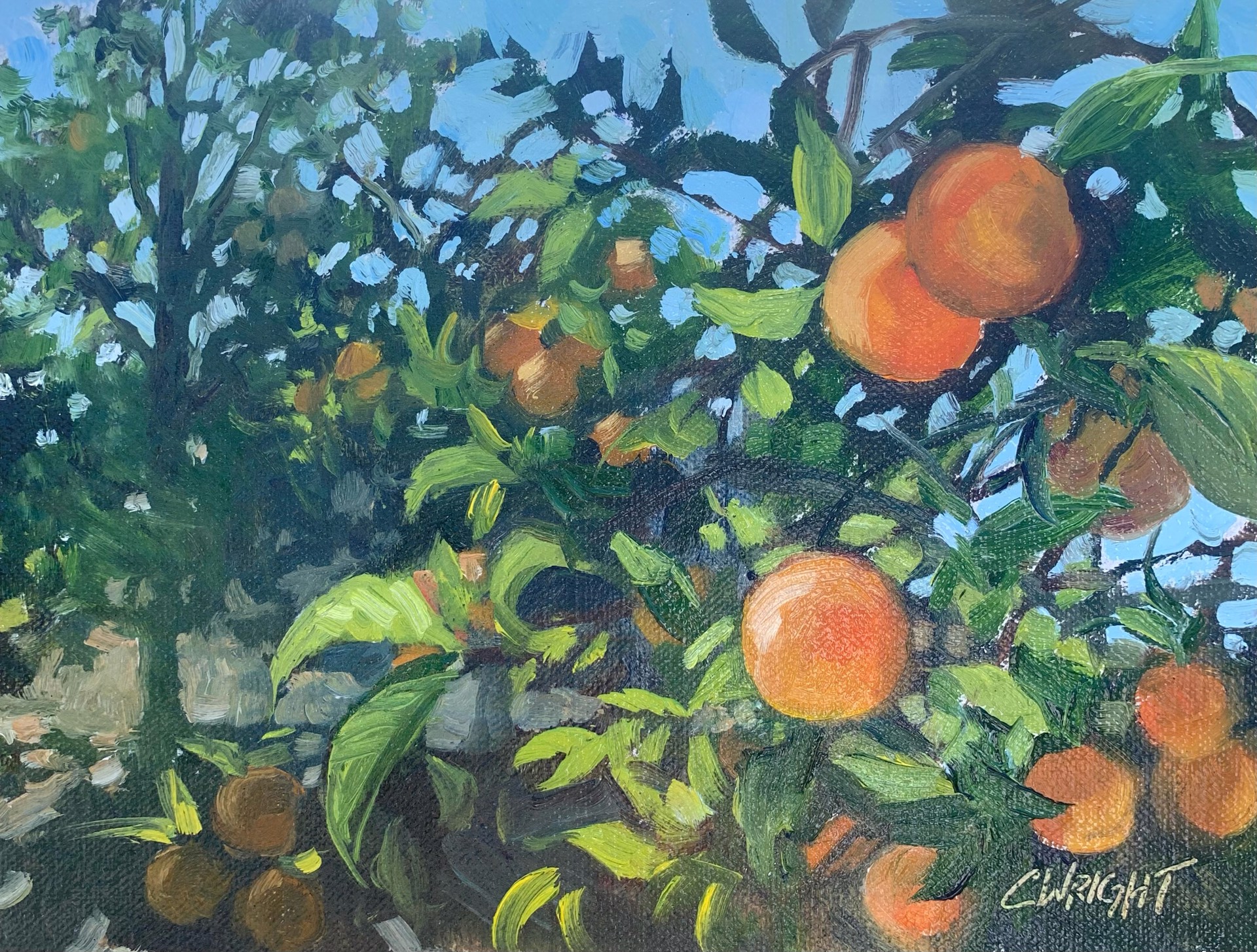 Citrus I by Cory Wright