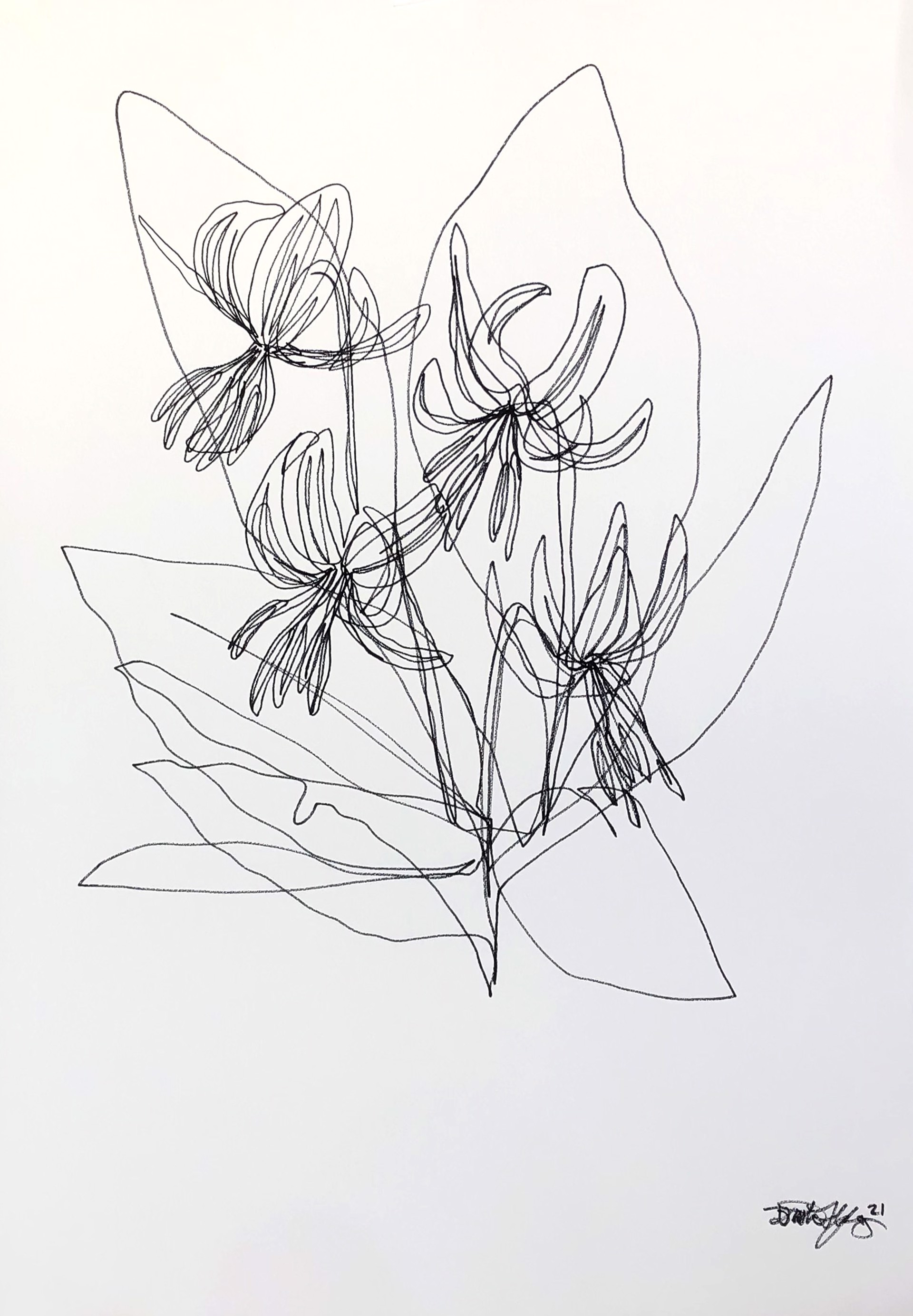 Floral in Lines III by Dustin Young