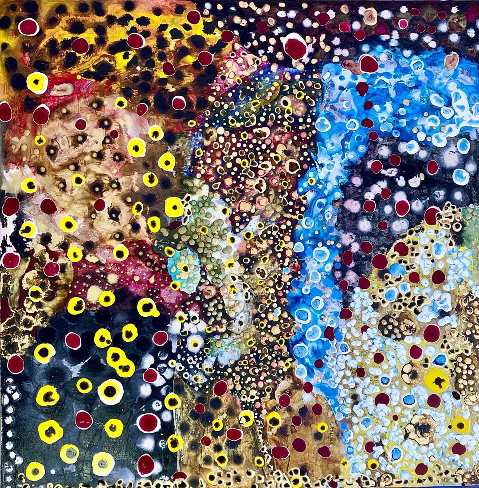 made of stars by sachi oba