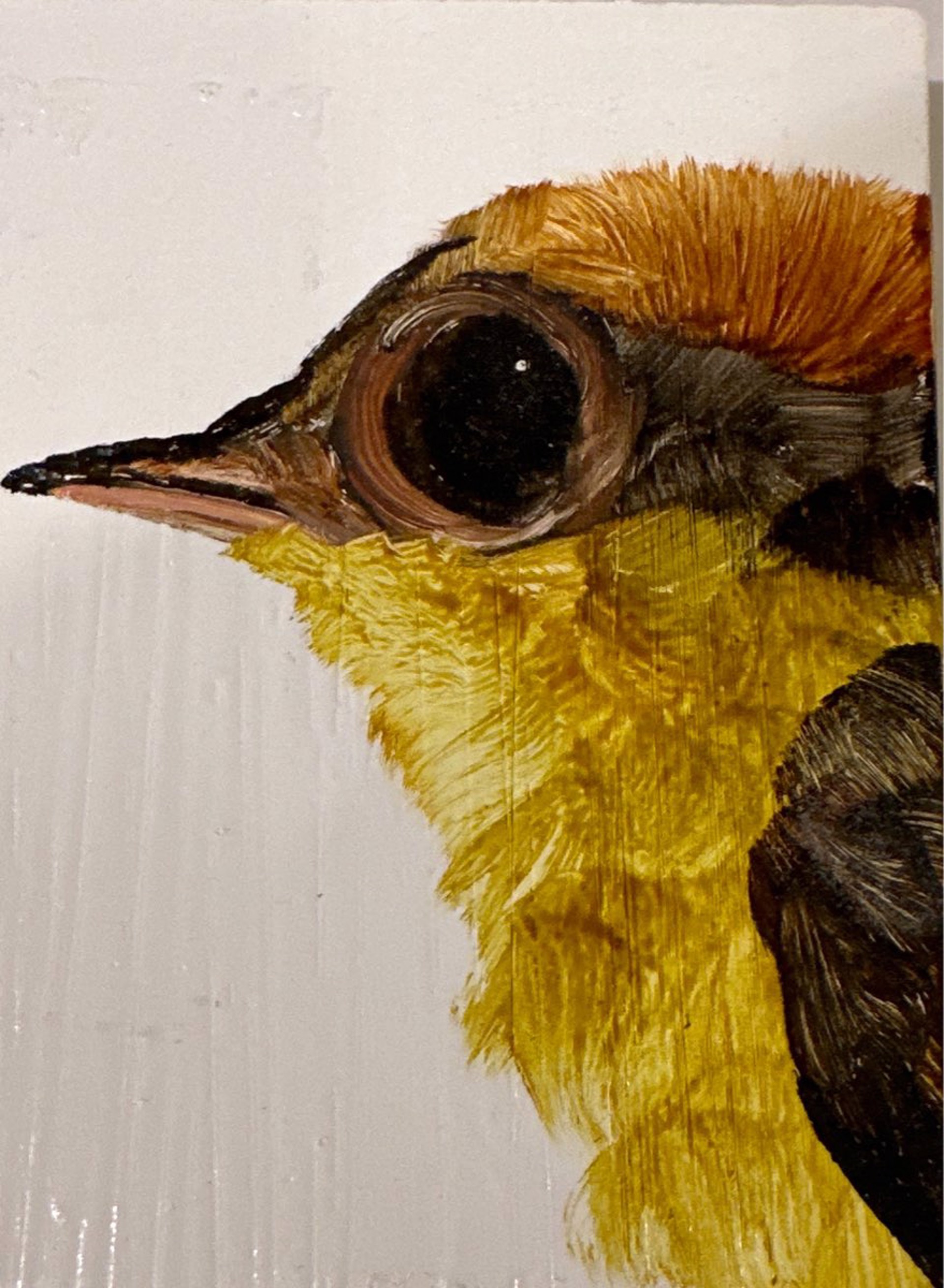 Medium Bird Block by Diane Kilgore Condon