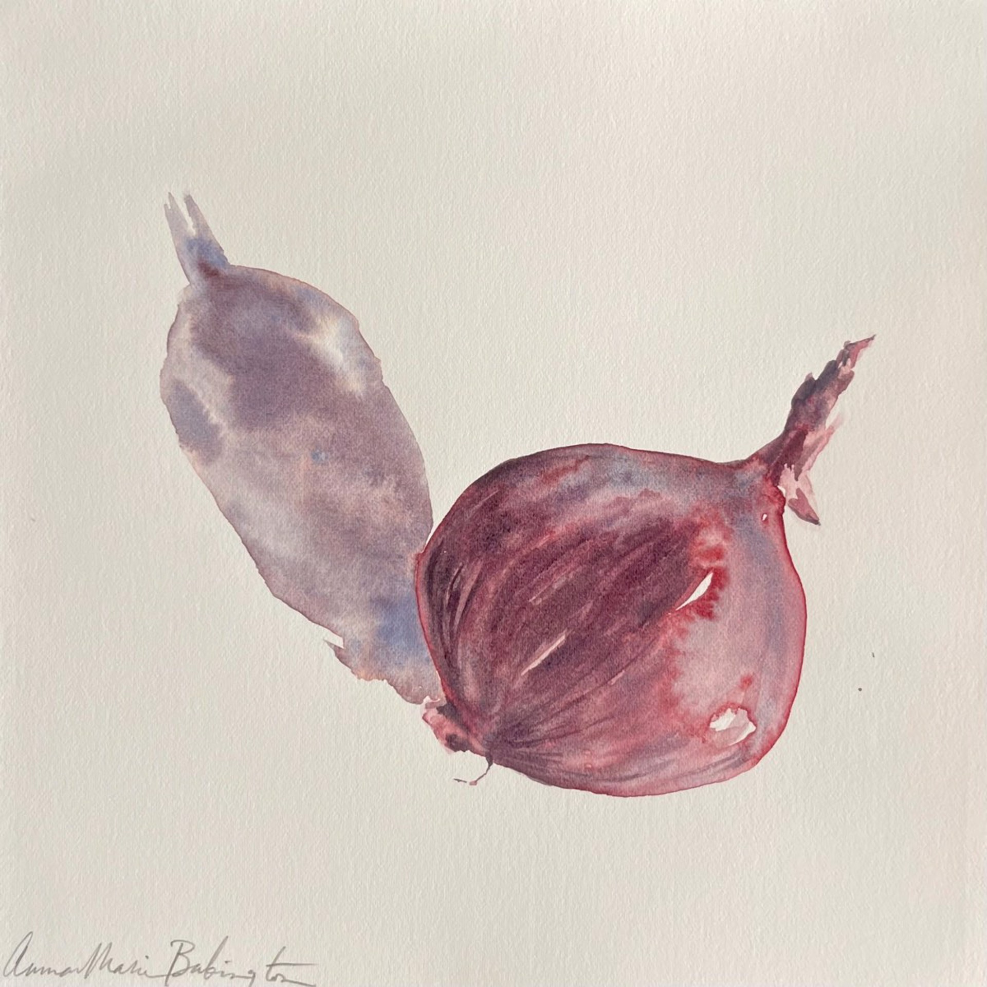 Red Onion by Anna-Marie Babington