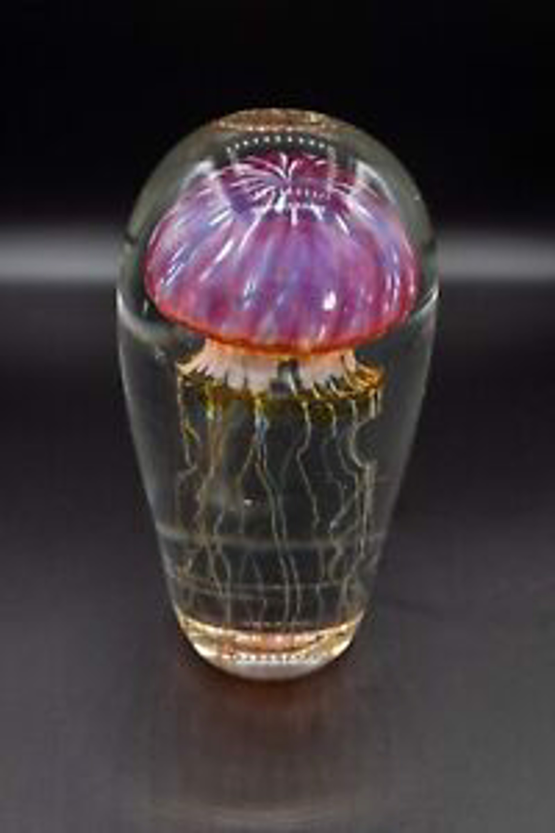 Purple Ribbed Jellyfish by RICHARD SATAVA