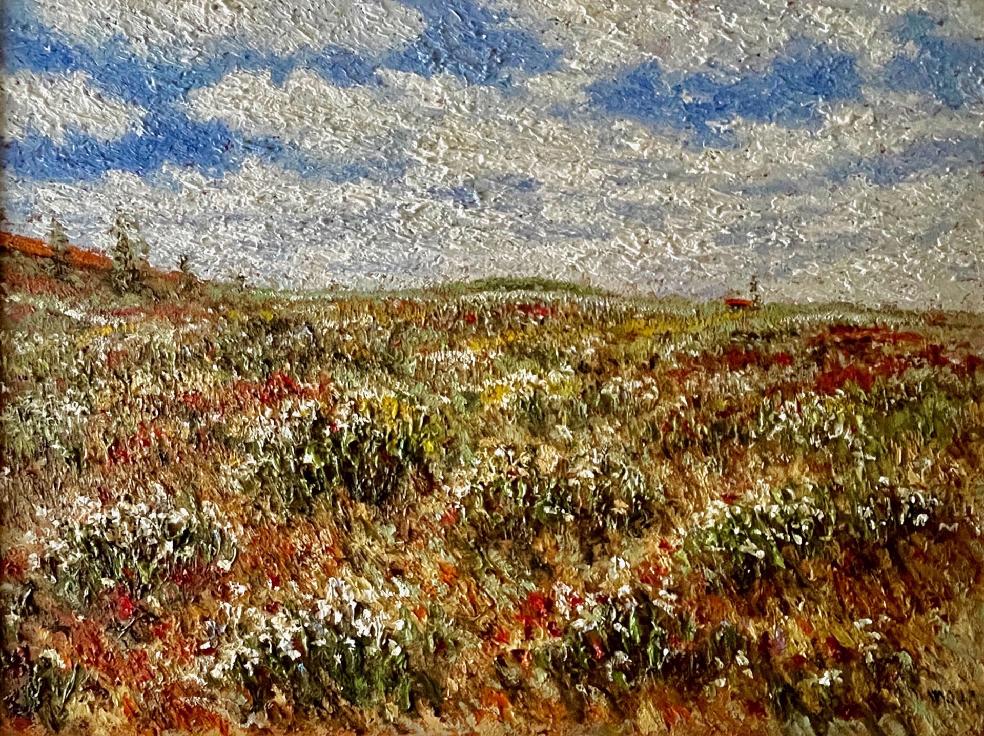 Fleurs sauvages, Ile d'Orleans by Samir Sammoun