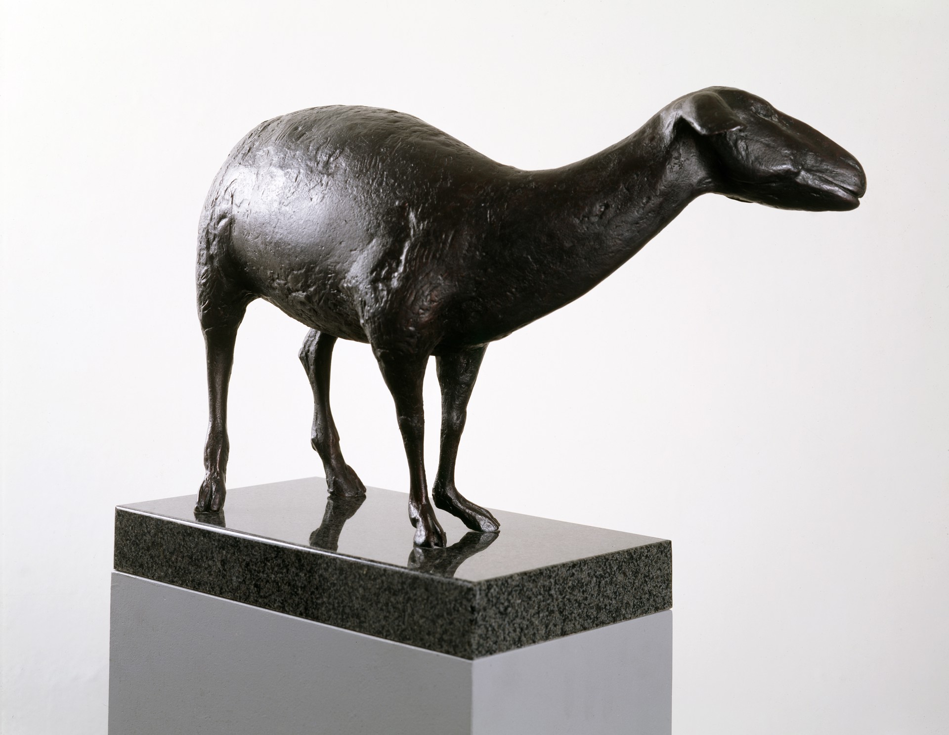 Standing Lamb by Jack Zajac