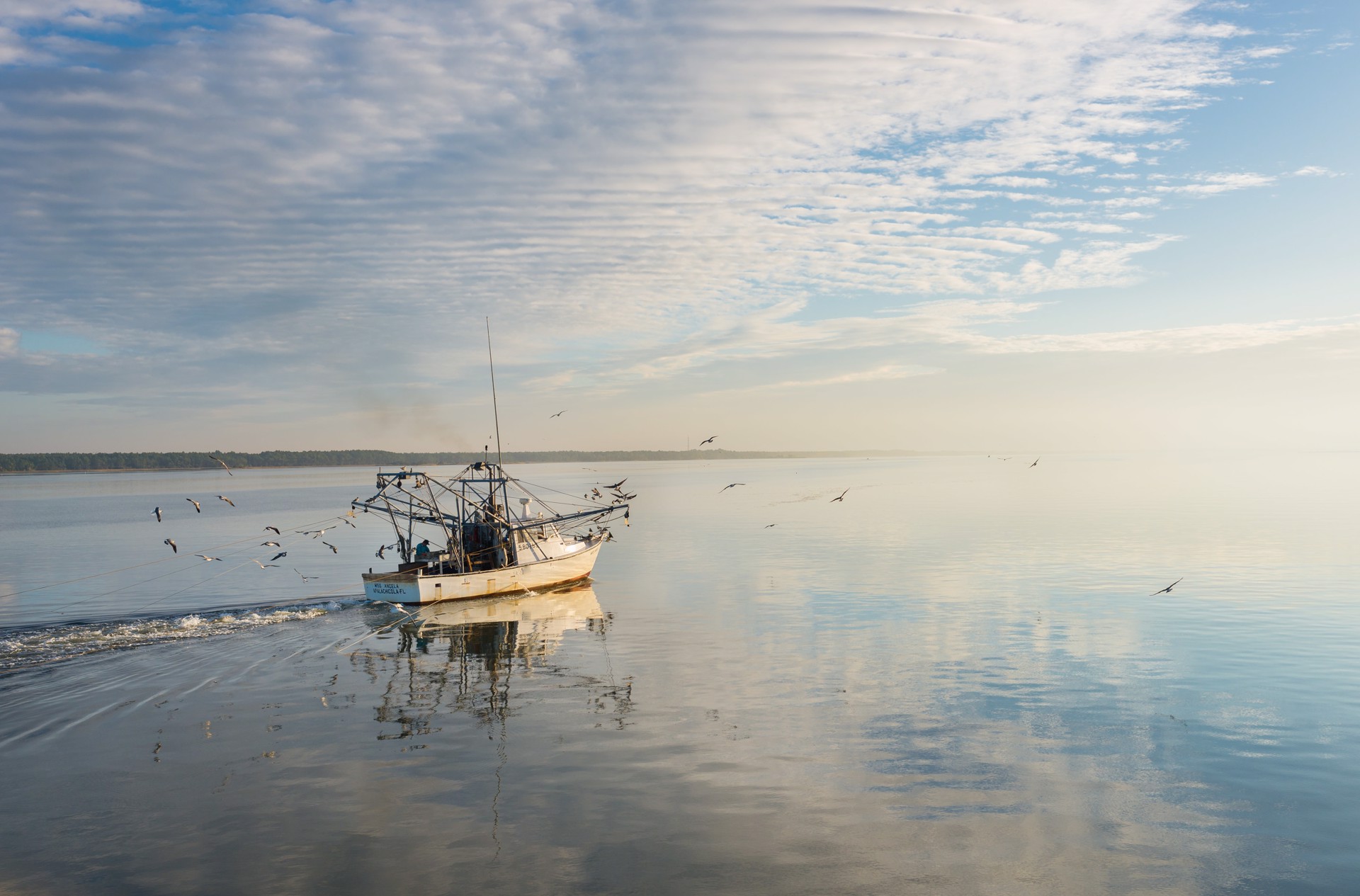 Bay Shrimper by Carlton Ward Photography