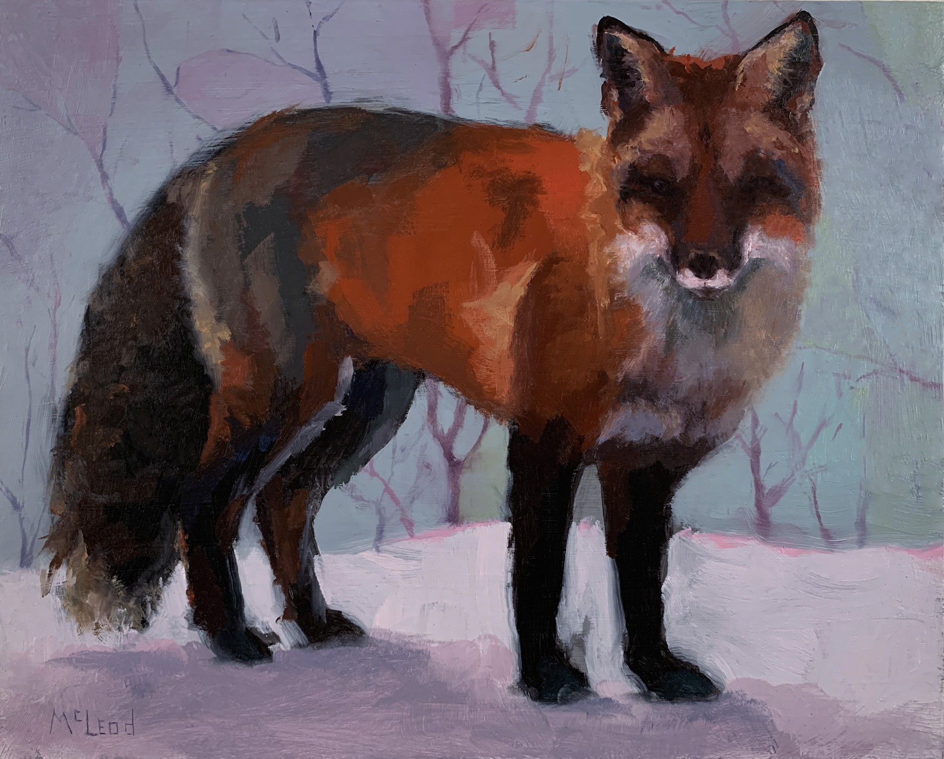 Fox by John McLeod