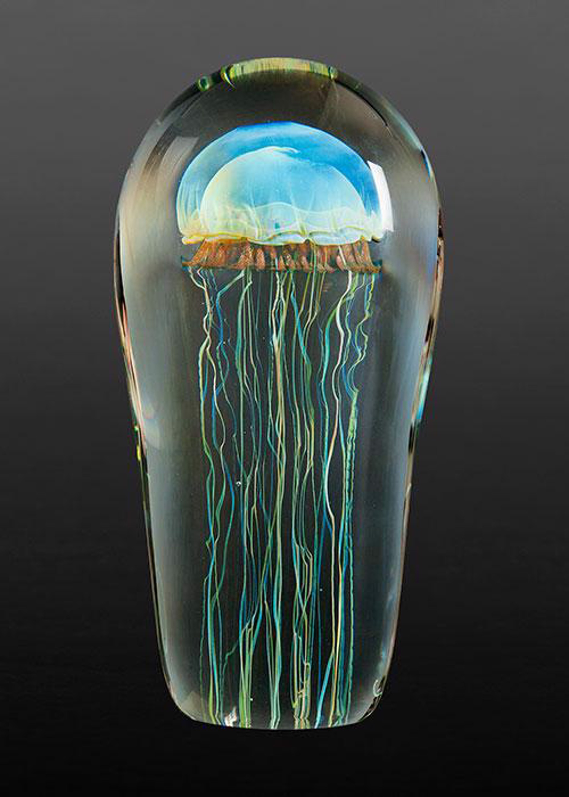 Moon Jellyfish 6" by RICHARD SATAVA