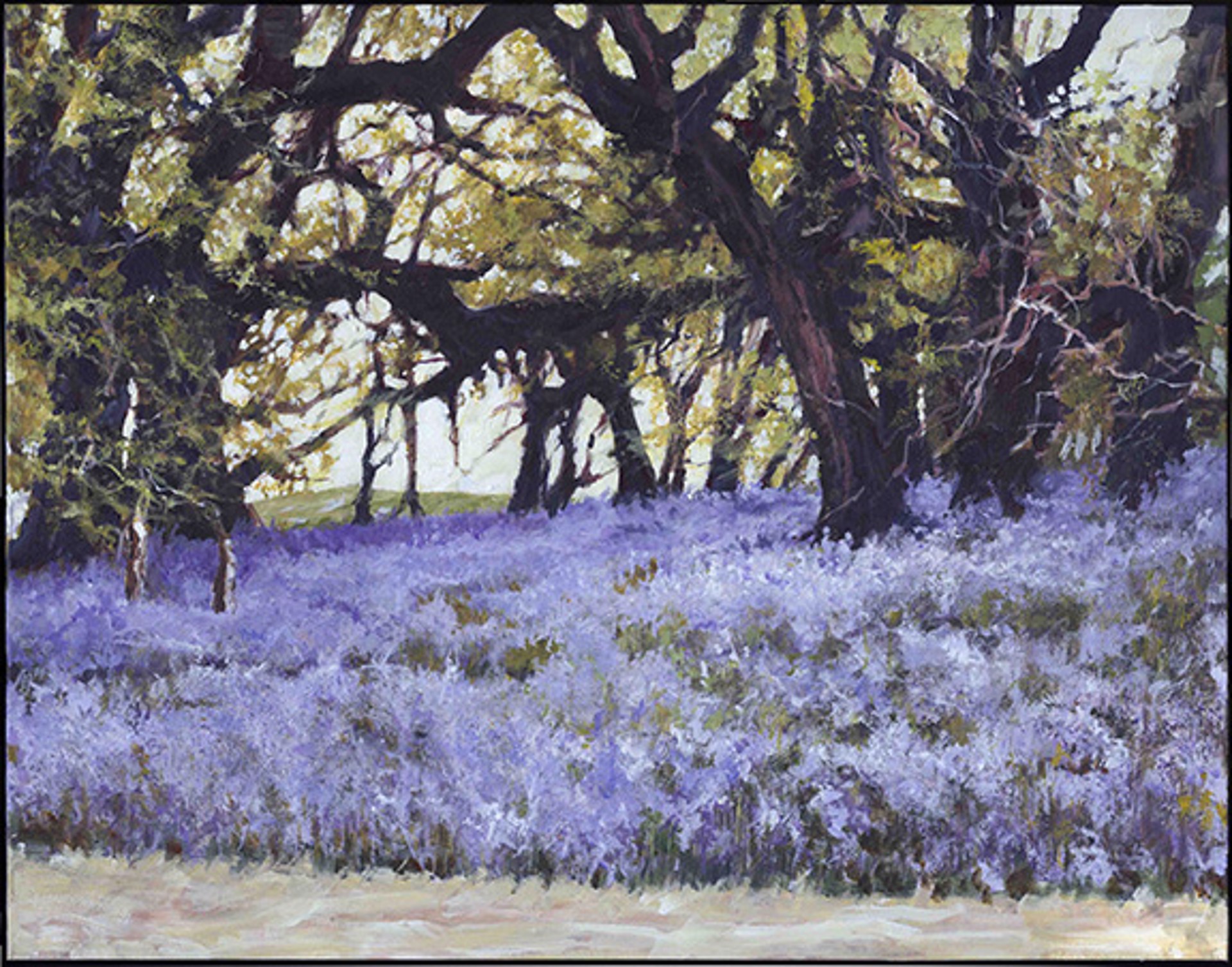 Lavender Fields by Aldo Luongo