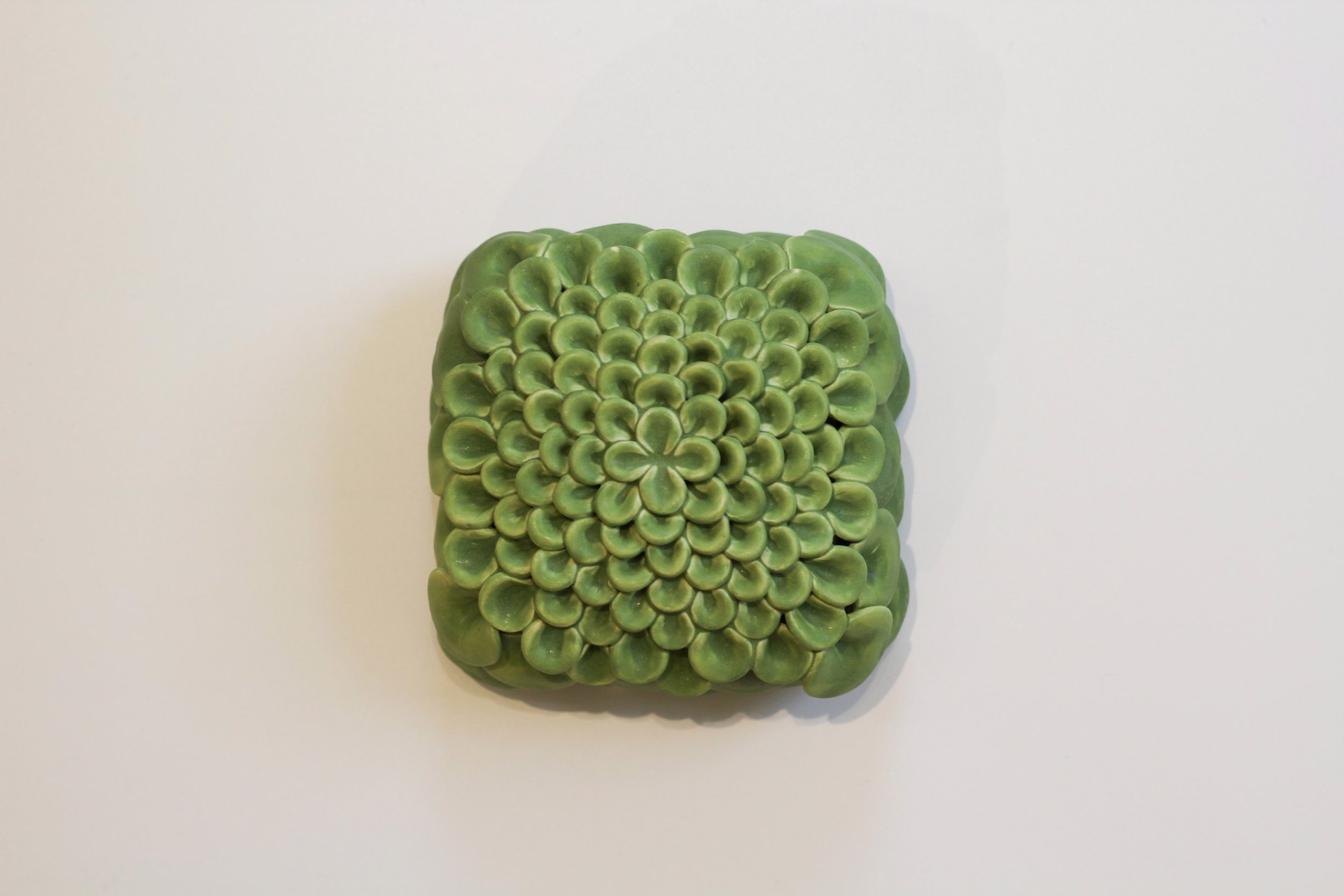 Green Petal Wall Box by Rachelle Miller
