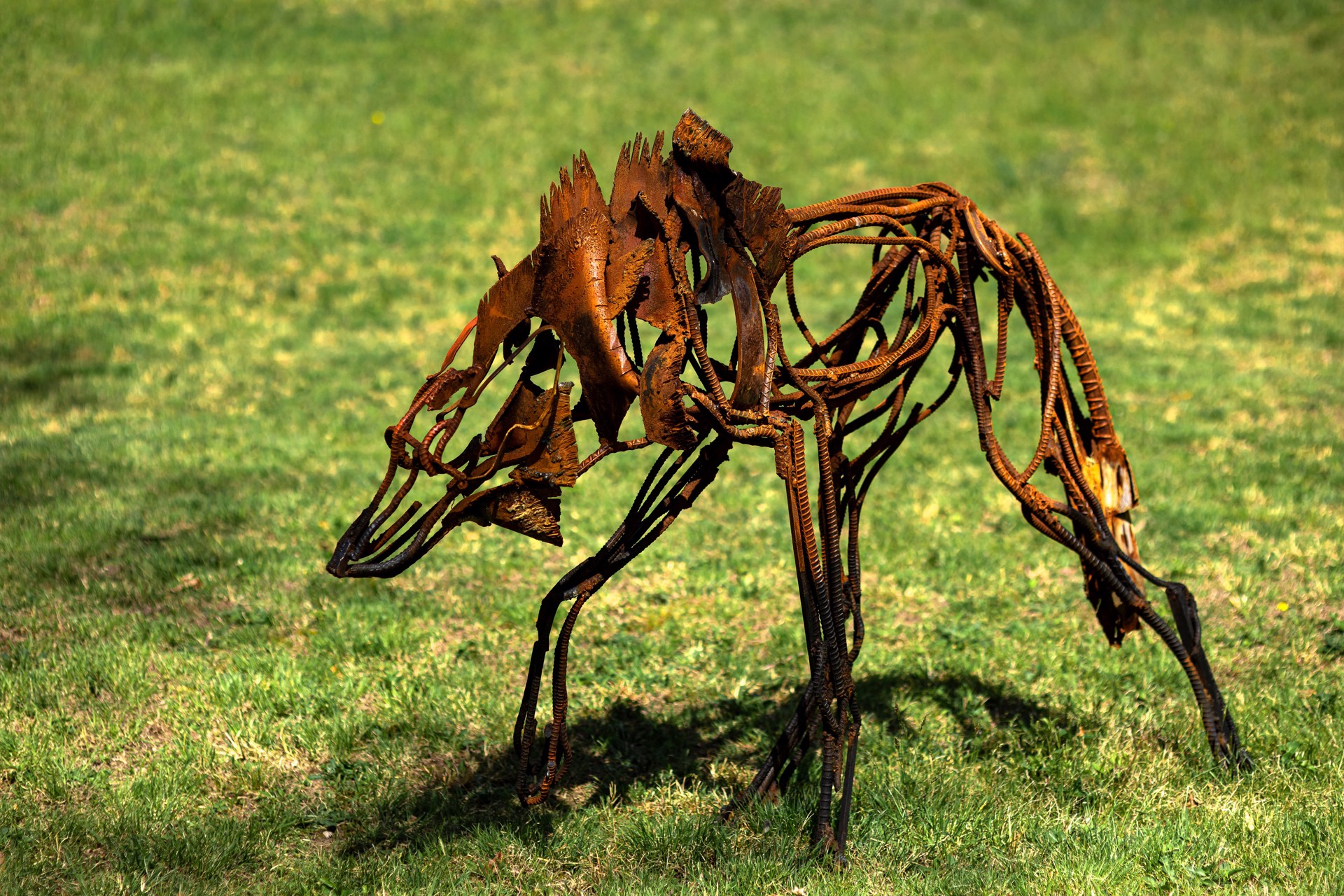 Maned Wolf by Wendy Klemperer