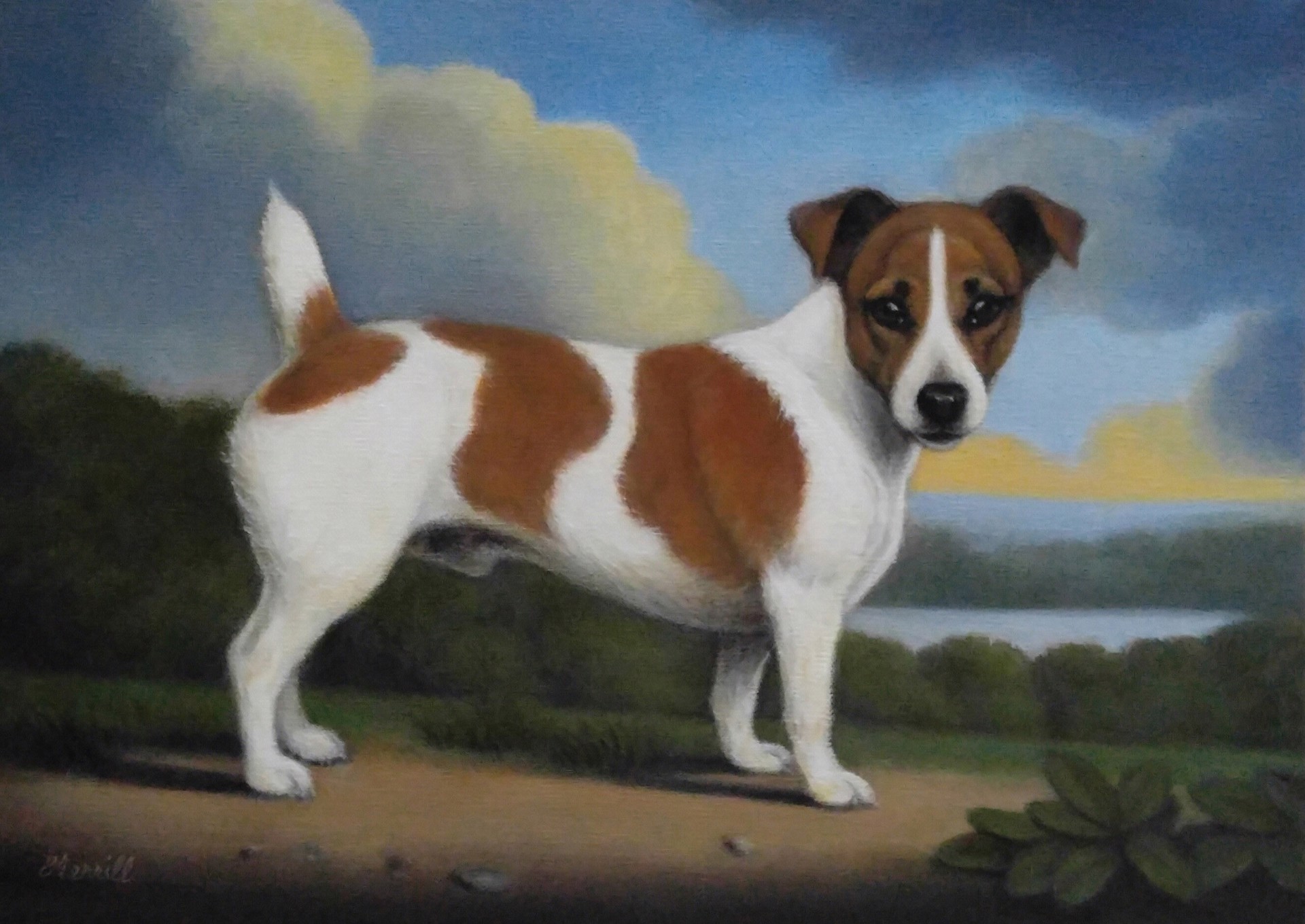 Jack Russell Terrier by Christine Merrill