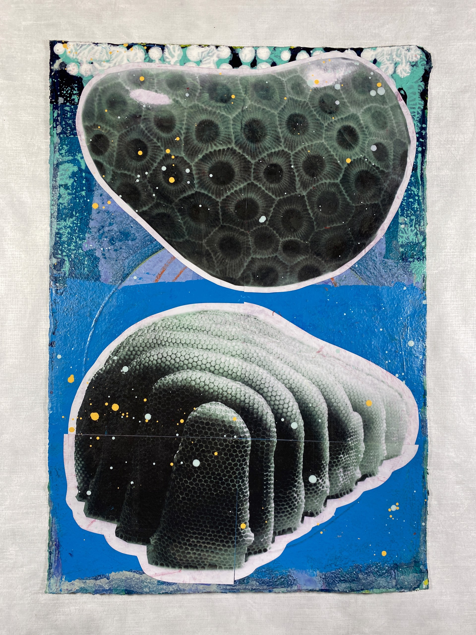 Petosky Stone + Honeycomb by Jason Rohlf