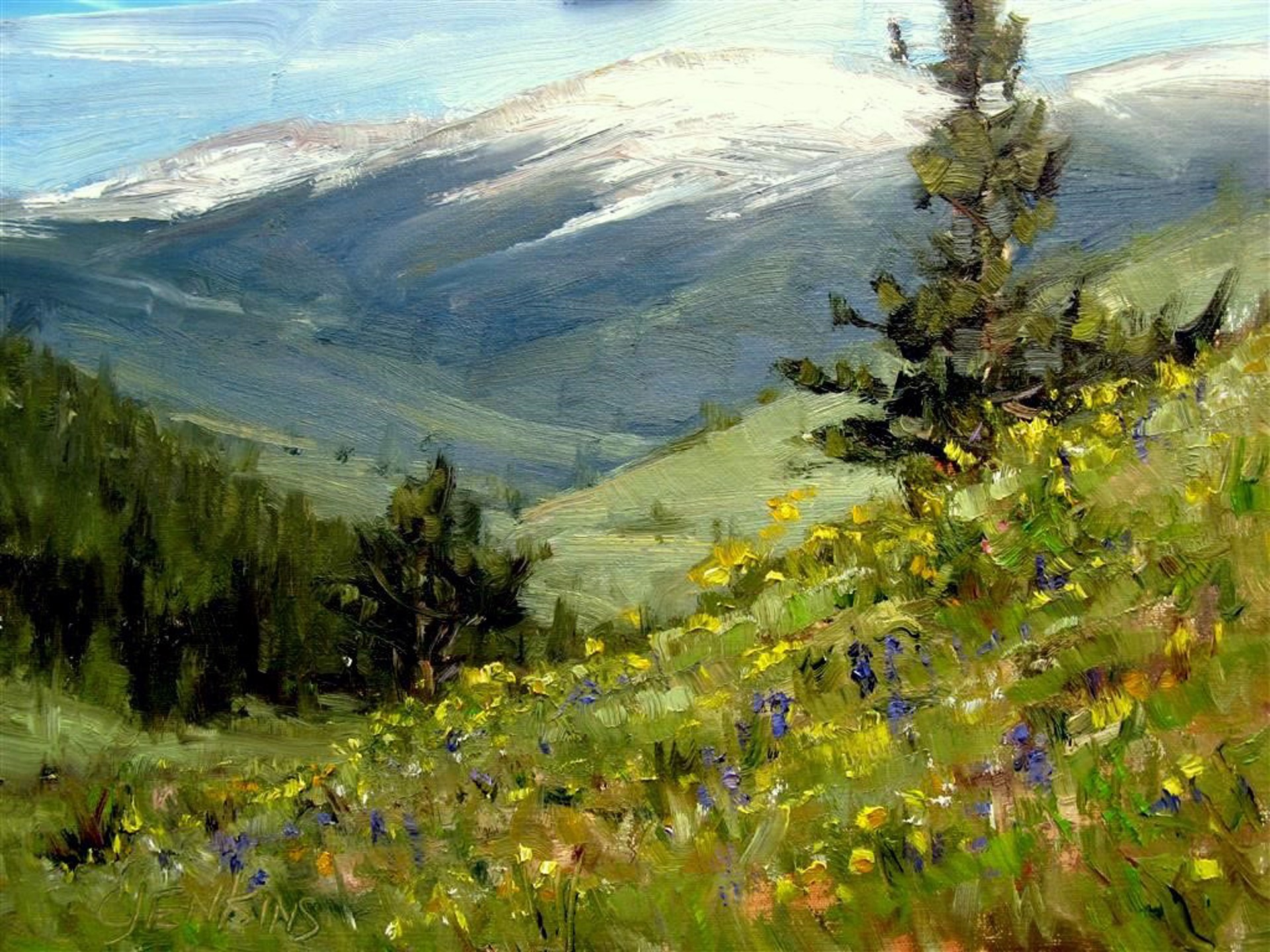 High in the Rockies by Carol Jenkins
